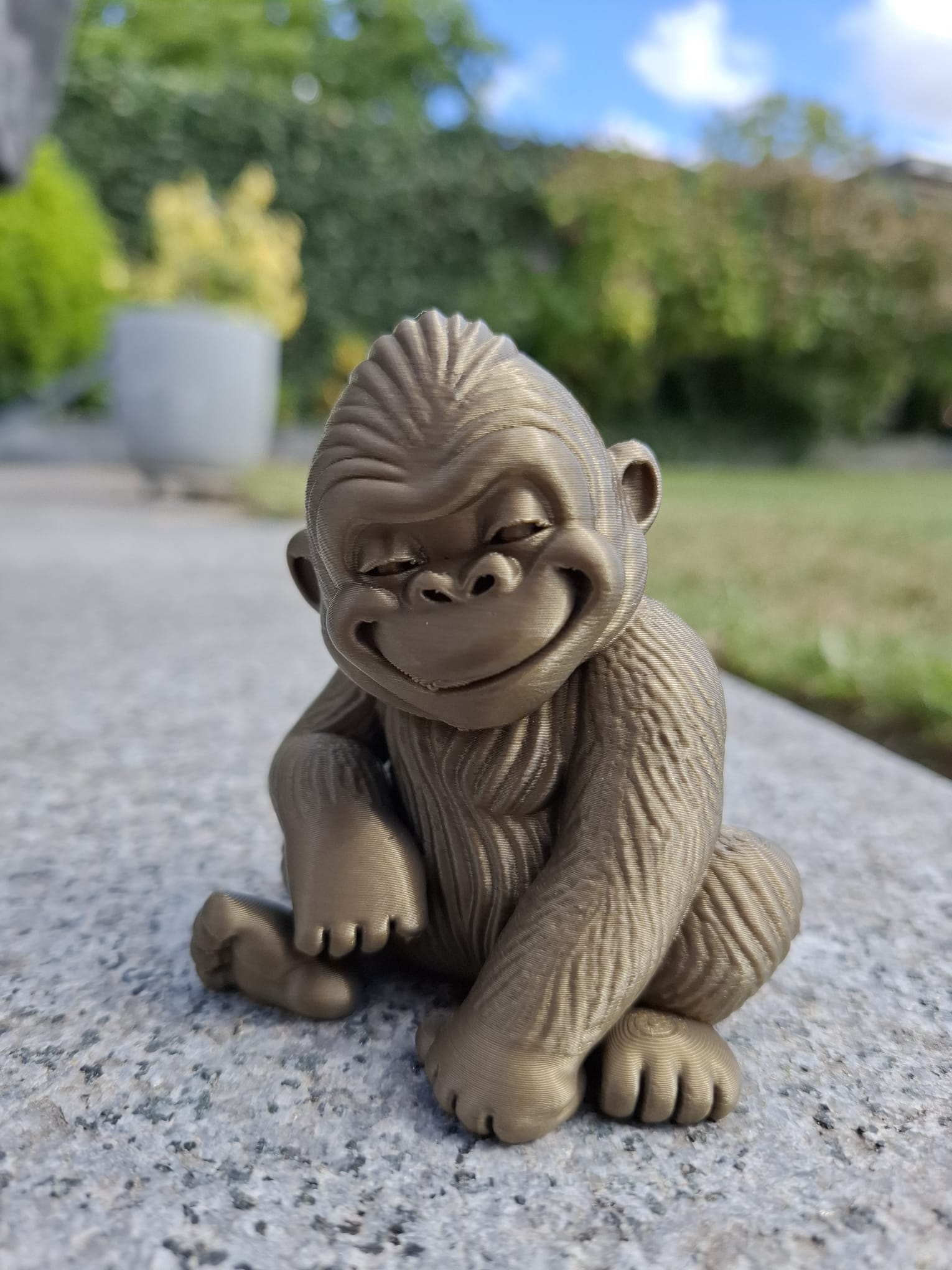 Cheeky Baby Gorilla