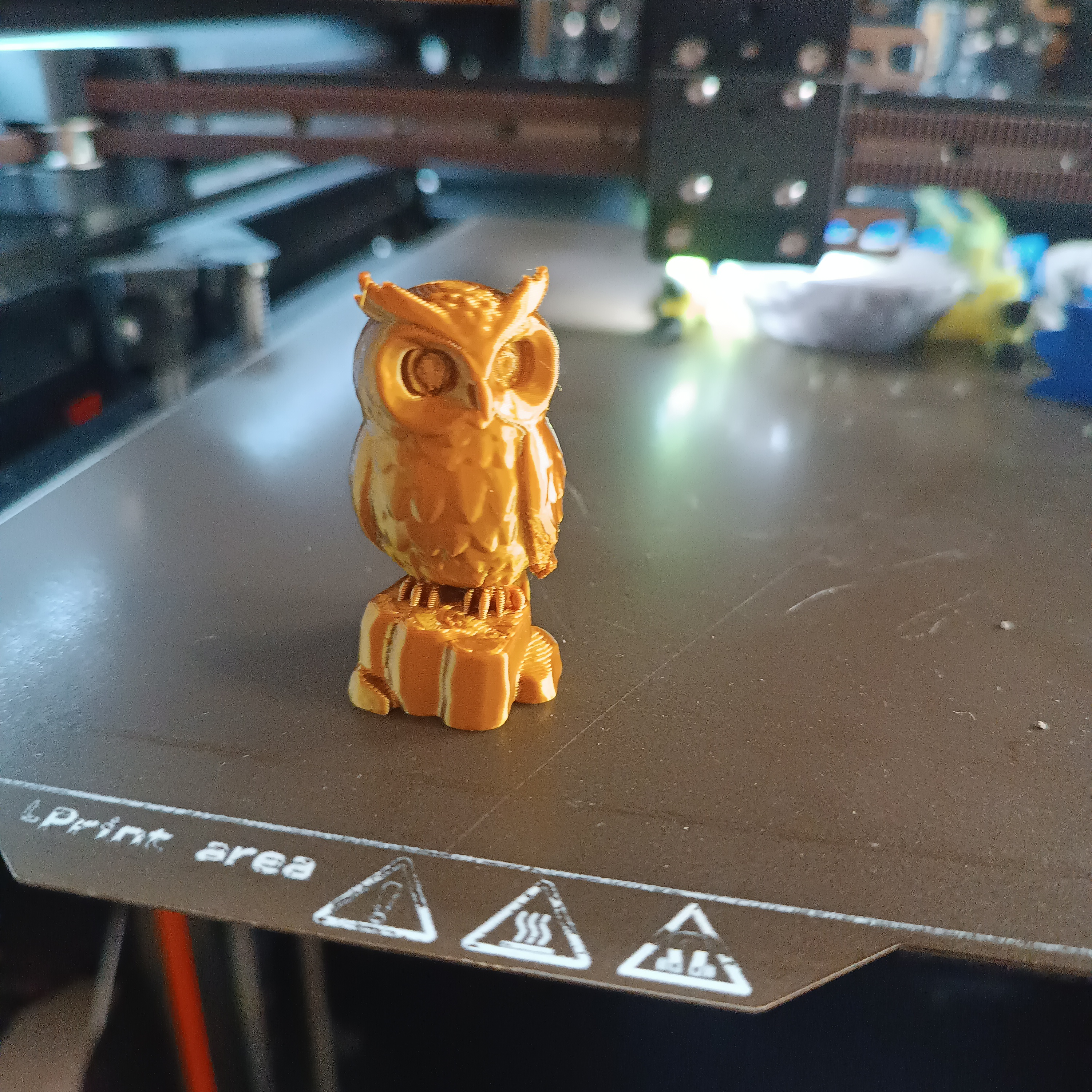 Owl