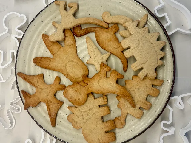 Dinosaur Cookie Cutters & Stamps - 17 Designs