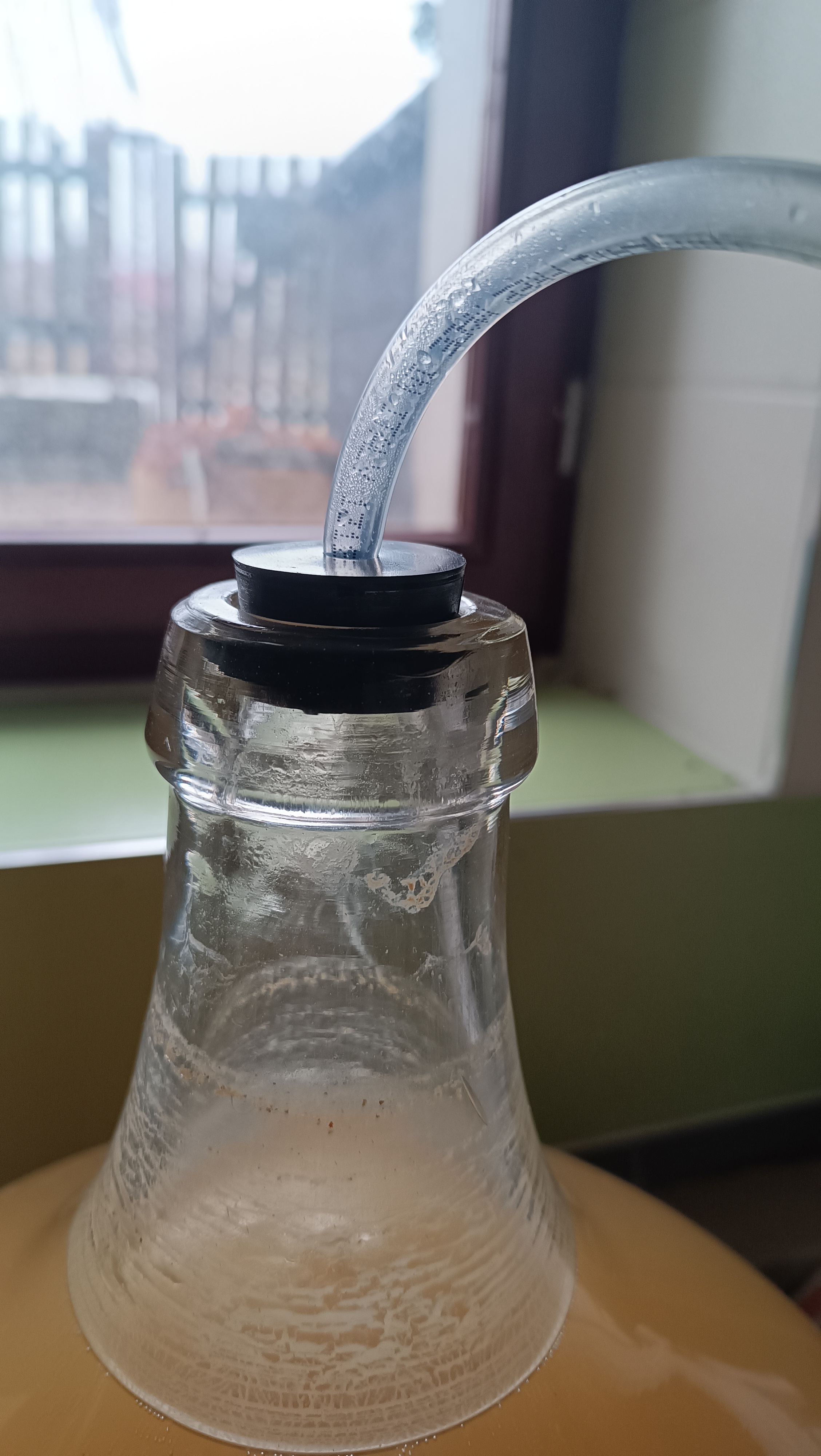 yeast plug