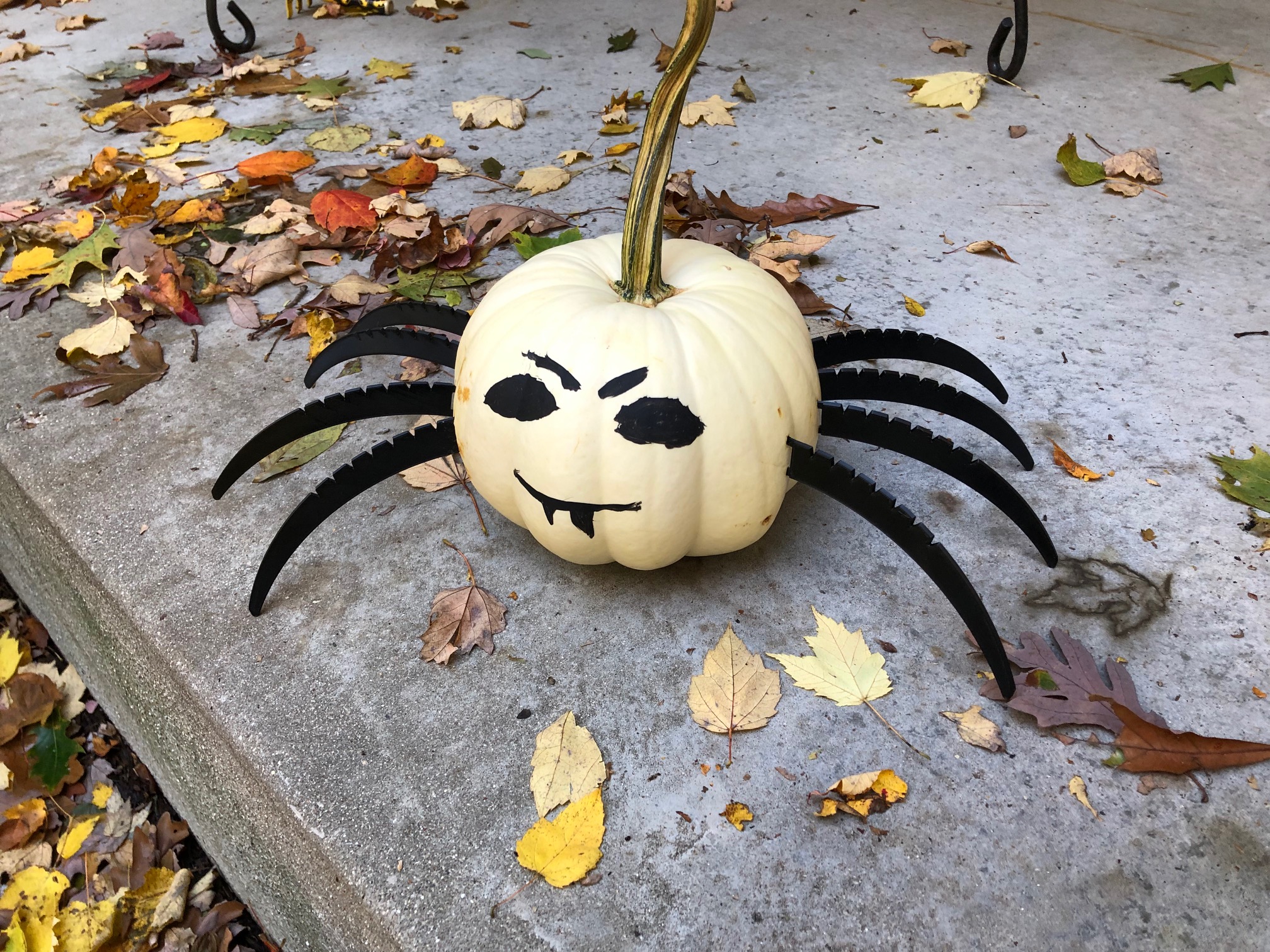 Spider Pumpkin