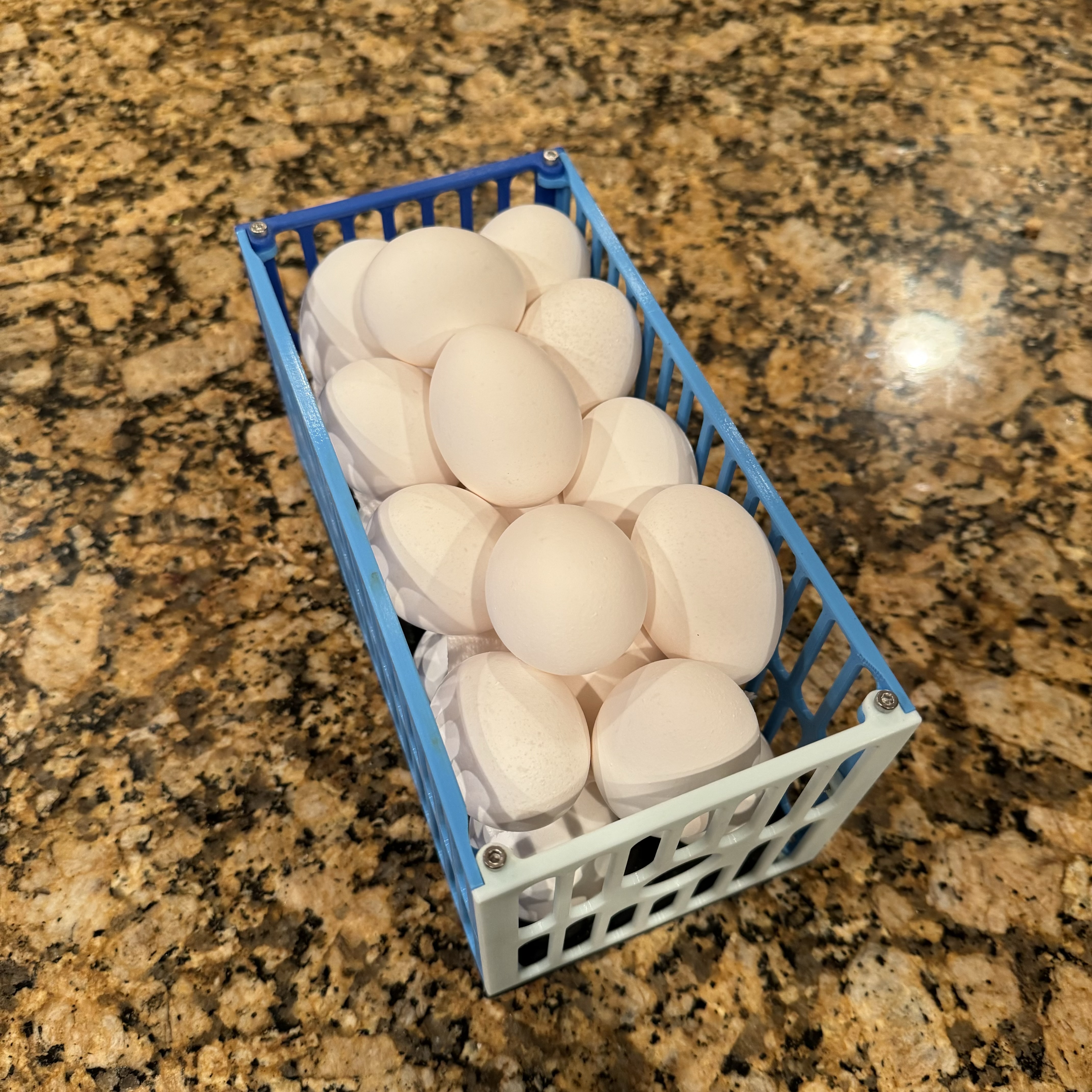 Egg Storage Box for fridge