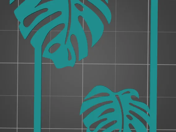 Image of Monstera leaves