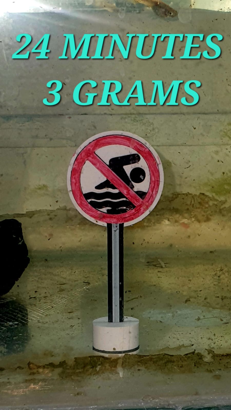 No swimming sign for fish tank only 24 minutes