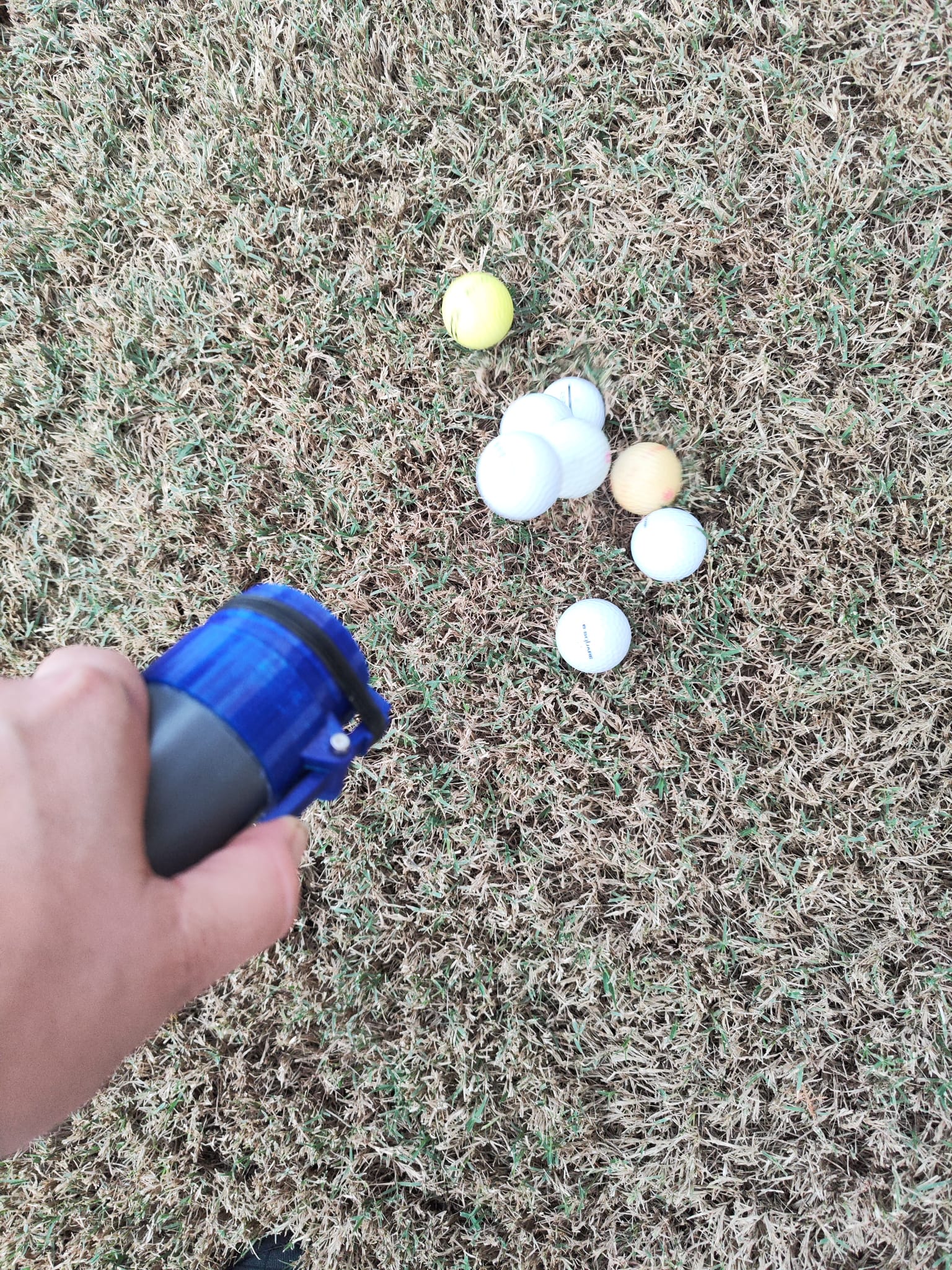GOLF BALLS COLLECTOR by chocarrat | Download free STL model ...