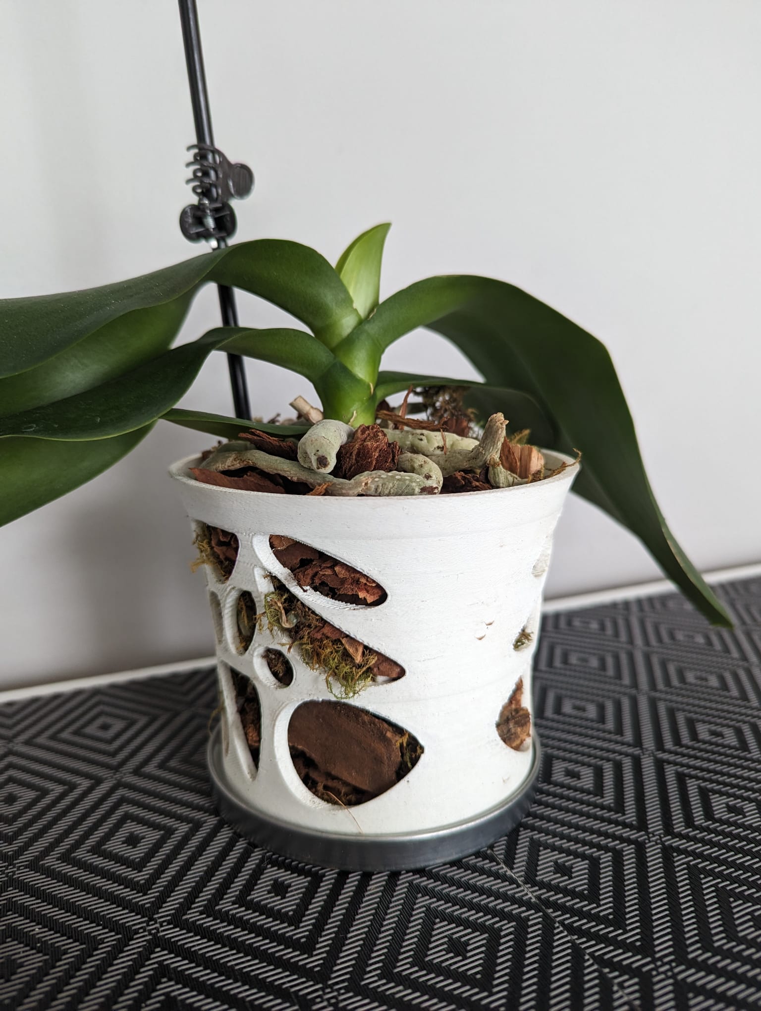 Orchid Pot