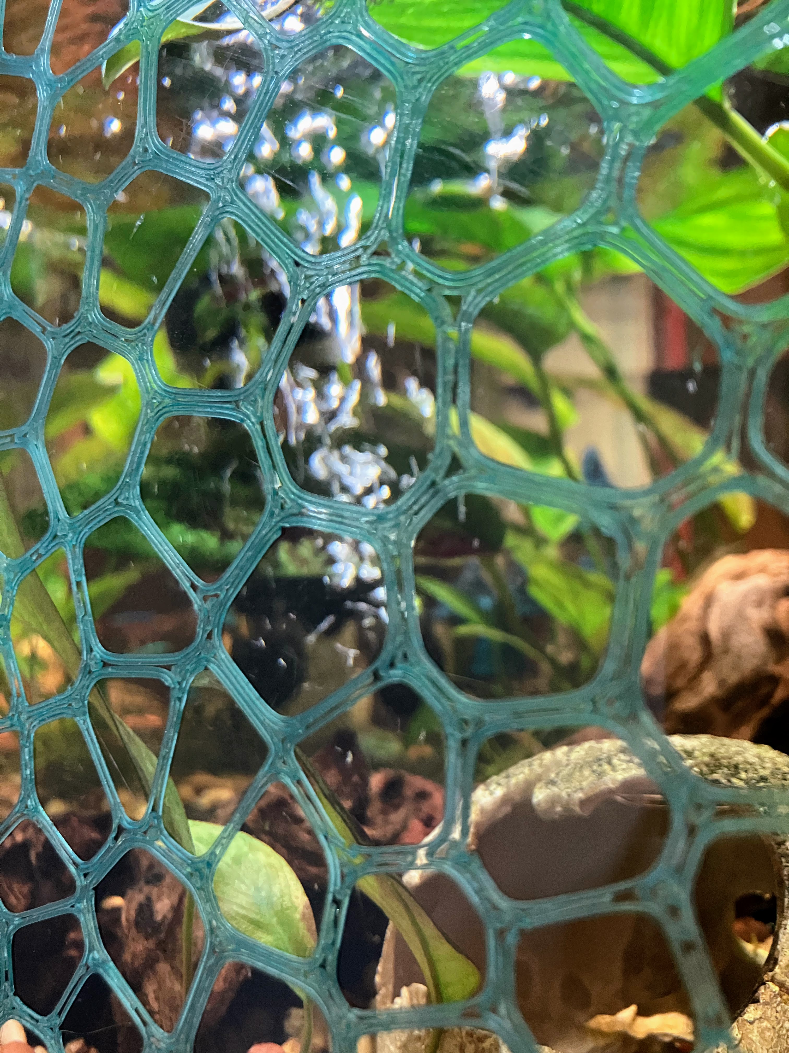 Aquarium Backdrop Panel — miniatura 4