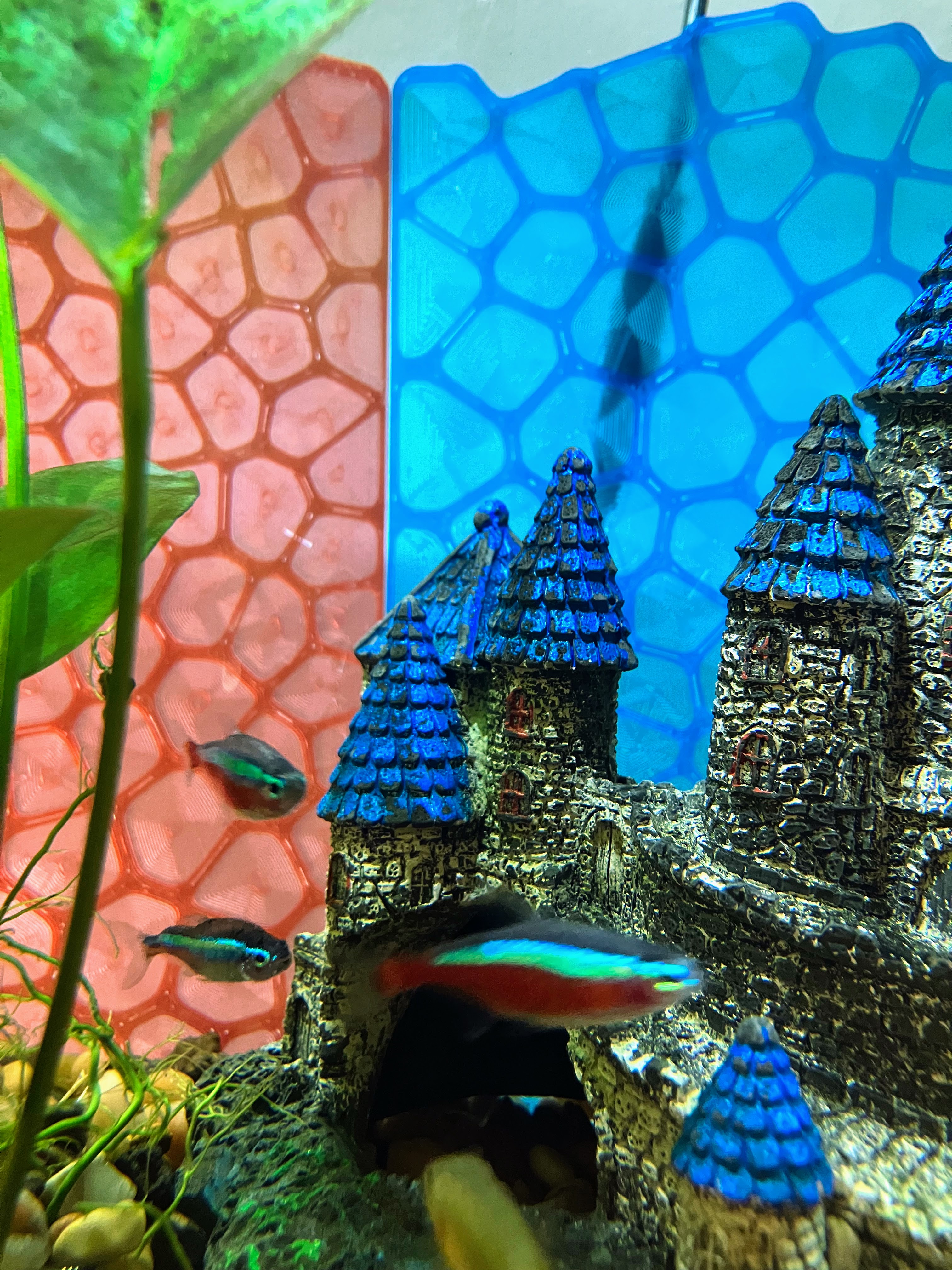 Aquarium Backdrop Panel — miniatura 2