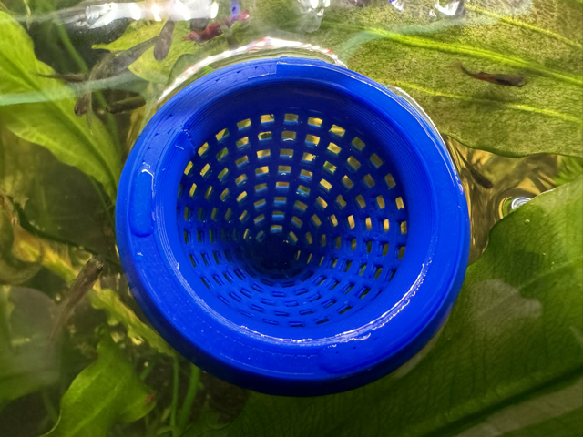 Floating Fish Feeder Basket