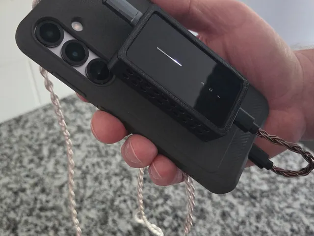 Case for Schiit Vestri