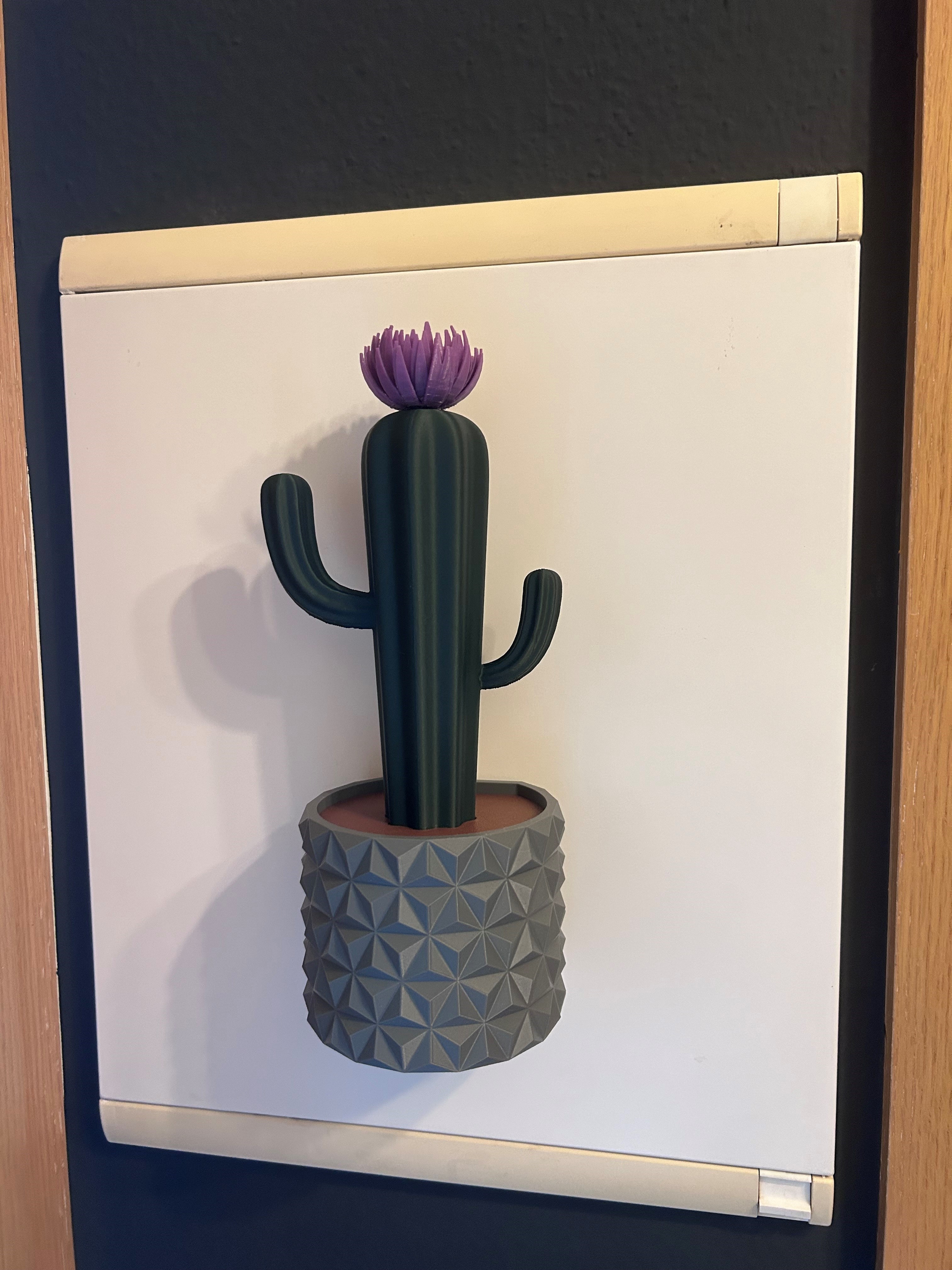 Kaktus mit Blumentopf magnetisch / magnetic plant pot 3D model thumbnail