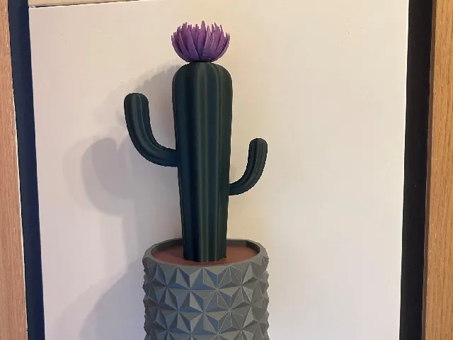 Kaktus mit Blumentopf magnetisch / magnetic plant pot