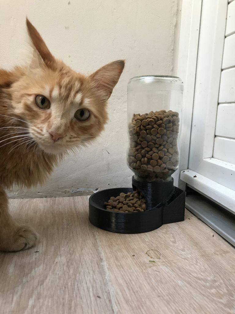 Cat food dispenser
