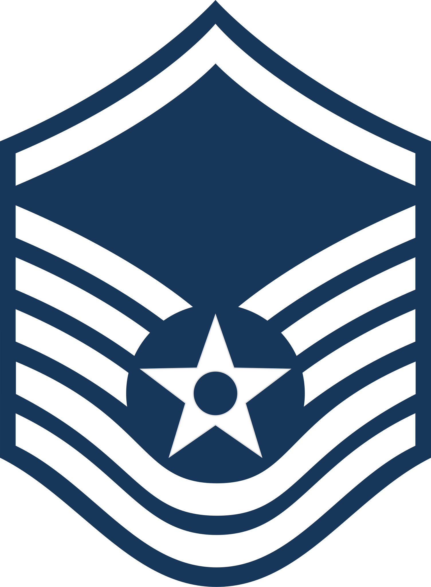 US Air Force E7 Master Sergeant Rank Insignia by Scott Flowers