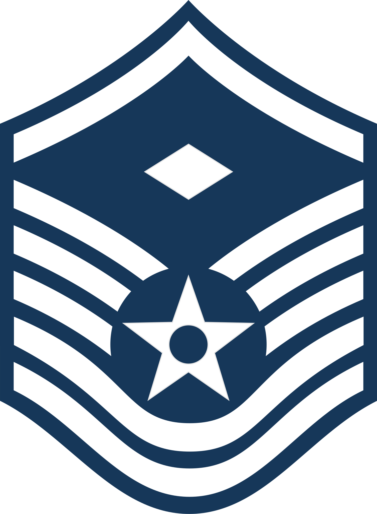 US Air Force E-7 - Master Sergeant- First Sergeant Rank Insignia by ...