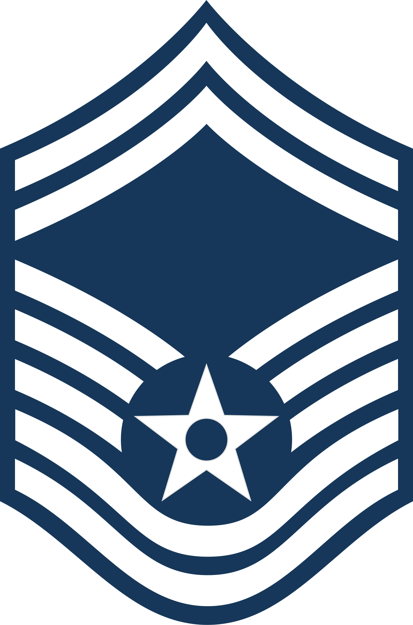 US Air Force E8 Senior Master Sergeant Rank Insignia by Scott