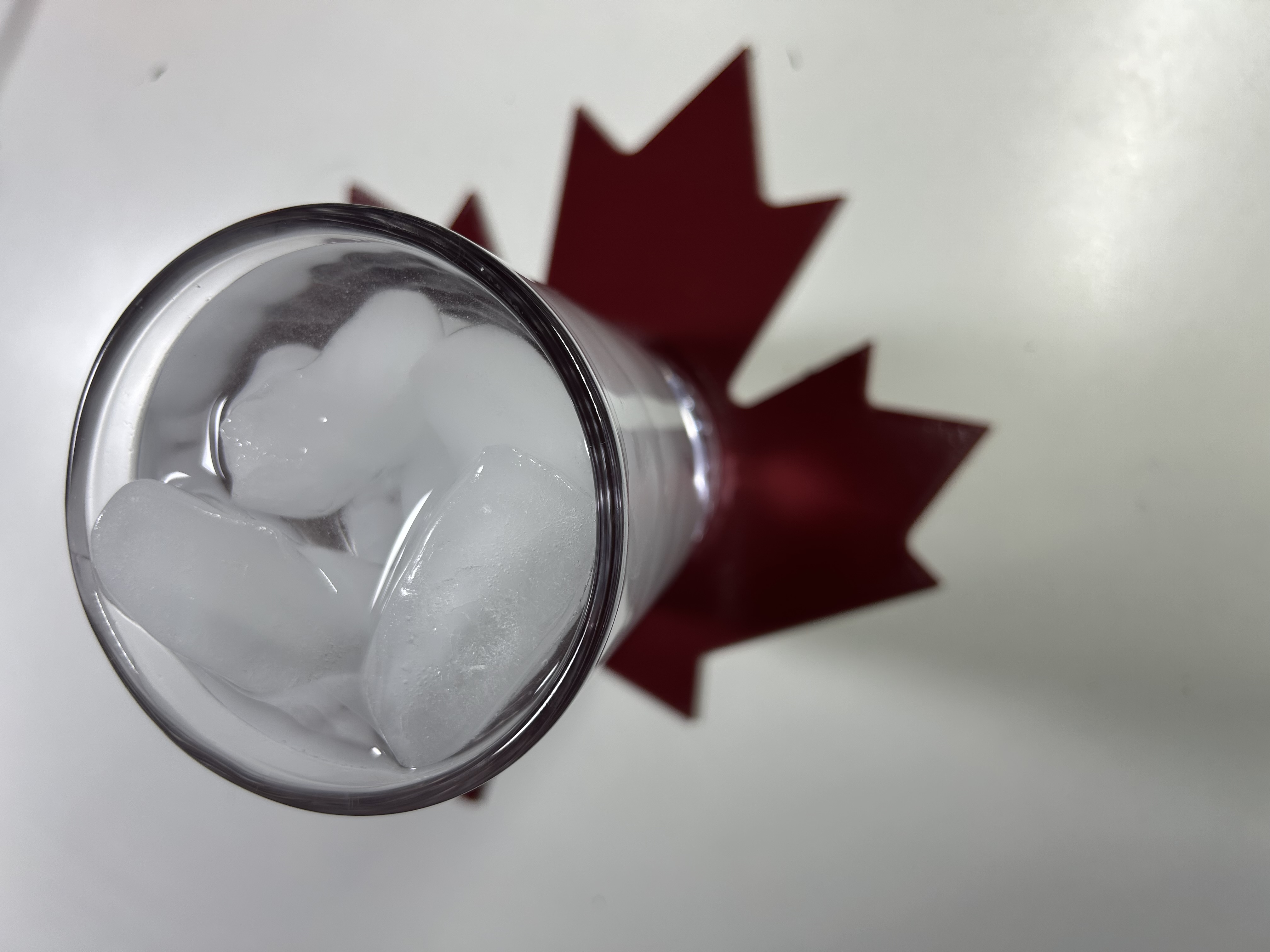Maple Leaf Decoration/Coaster