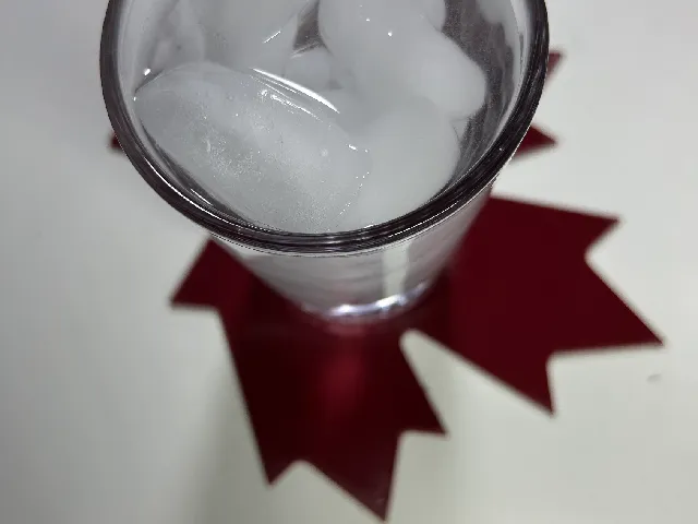 Maple Leaf Decoration/Coaster