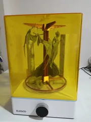 Image preview