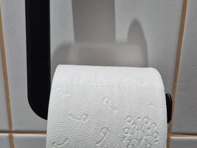 Toilet Paper Holder | Bathroom Accessory