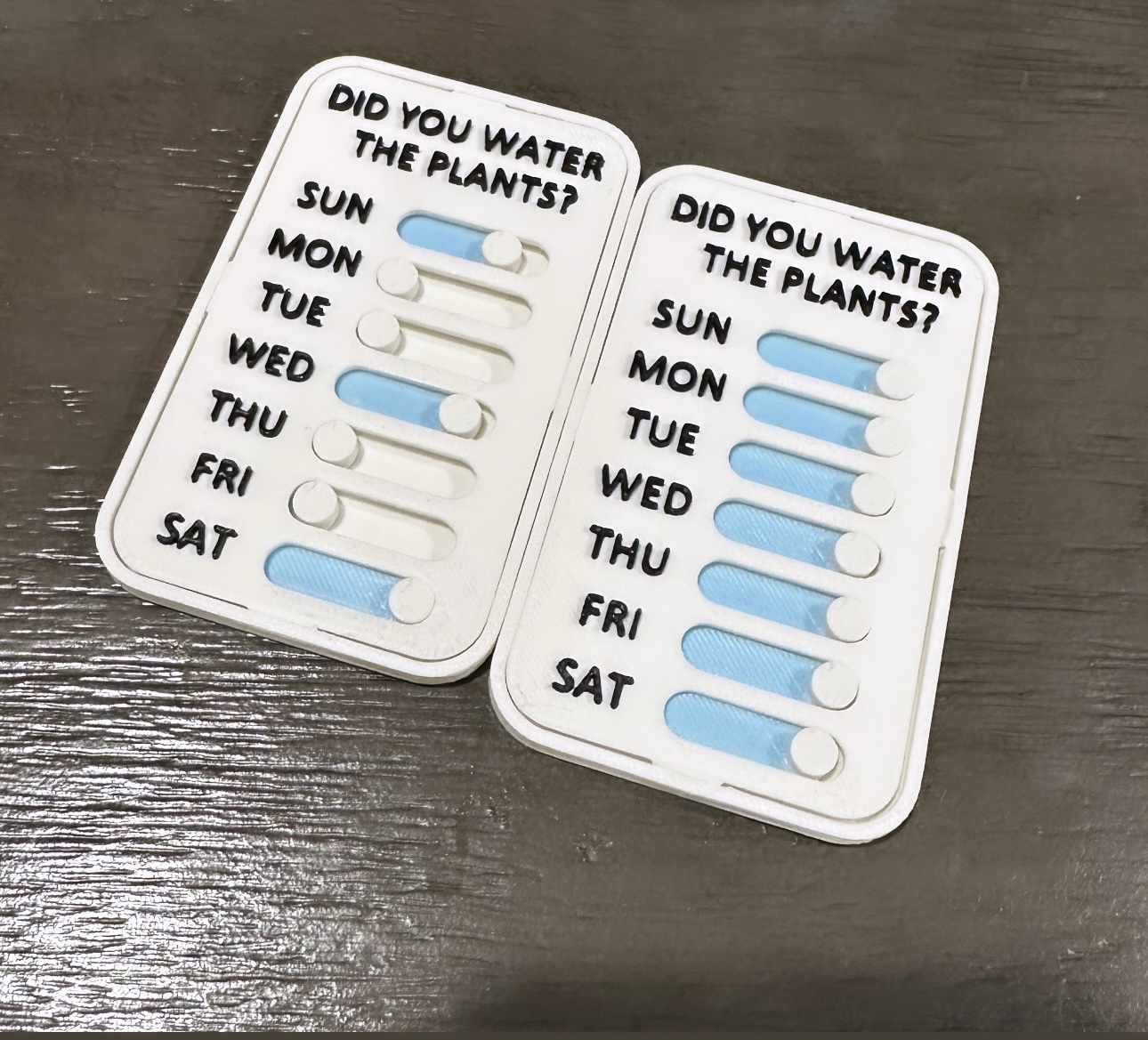 Plant Watering Schedule Painted