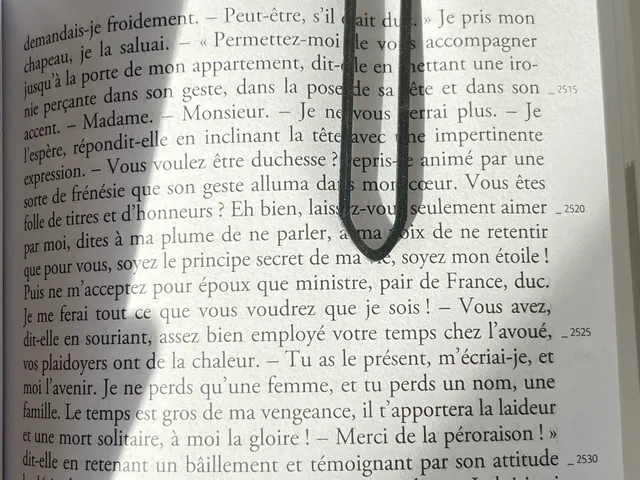 bookmark luffy