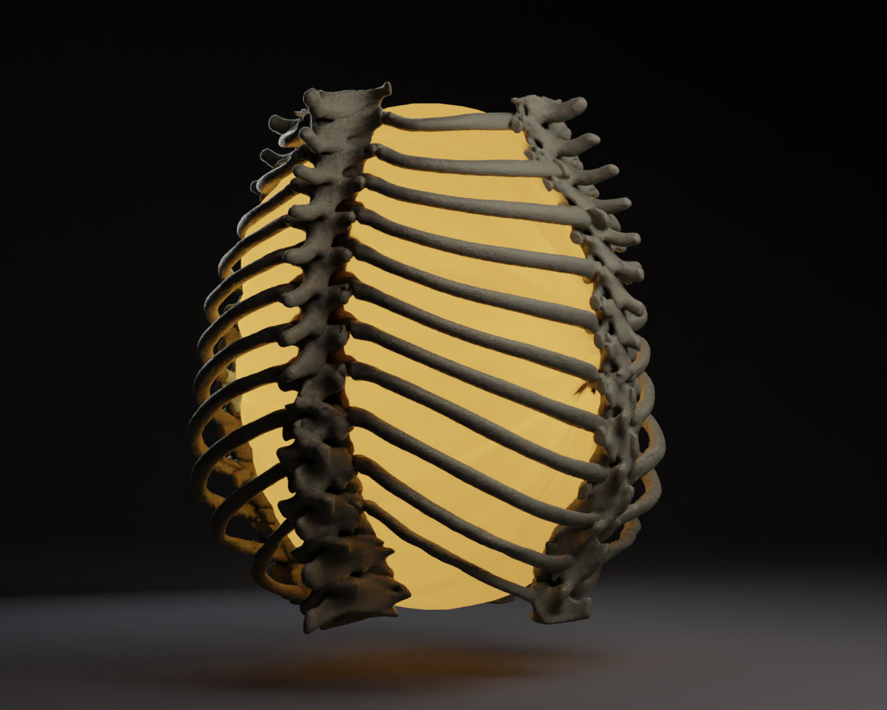 Caretaker Village Rib Cage Lamp by Peter Farell | Download free STL ...