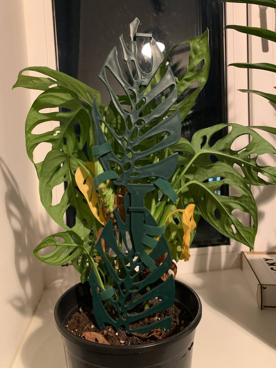 Stackable Monsteralike plant stake by Serhii Tyshchenko Download