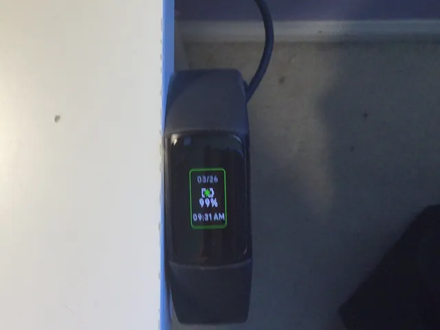 Fitbit Charge 5/6 Charging Dock