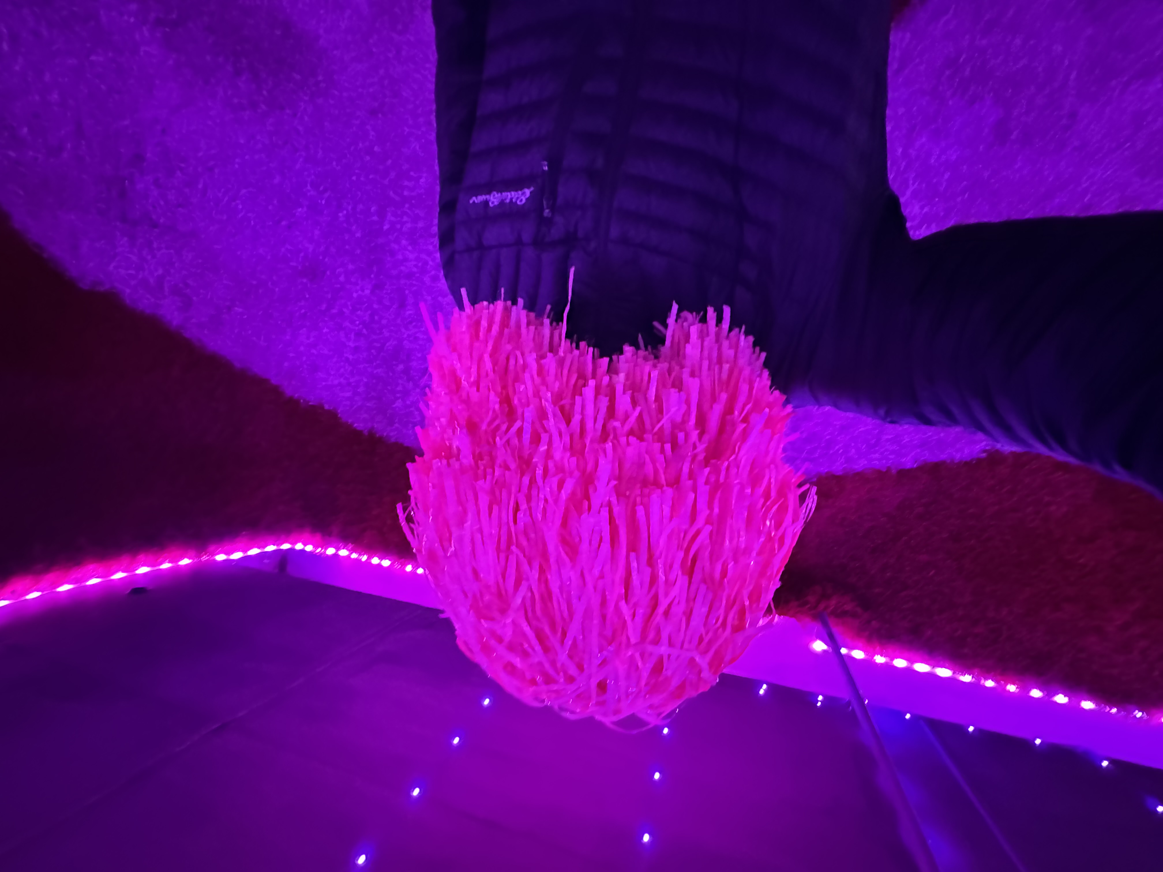 Pompom Helmet
