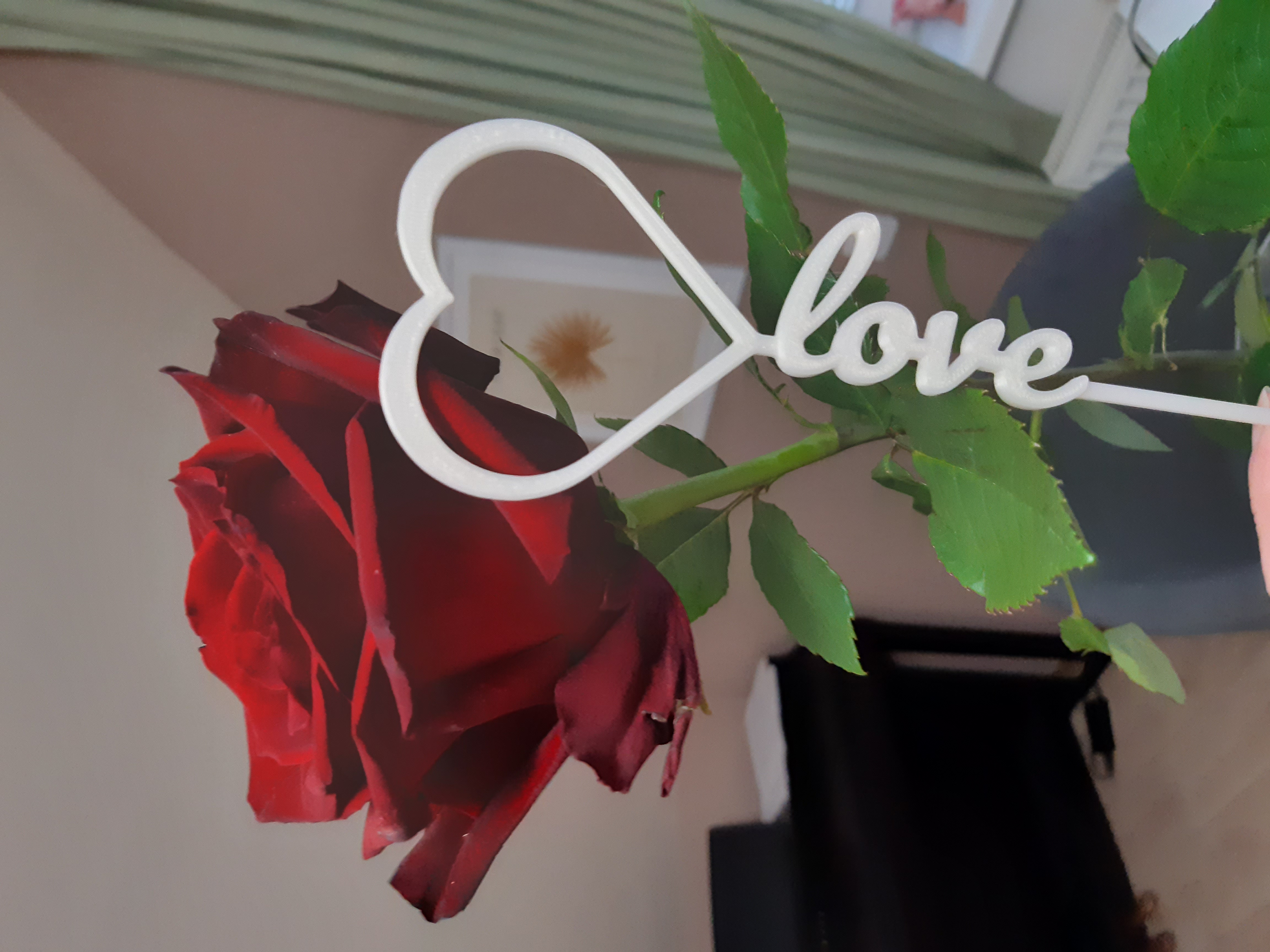 Miniatura 2 do modelo 3D Heart & Love