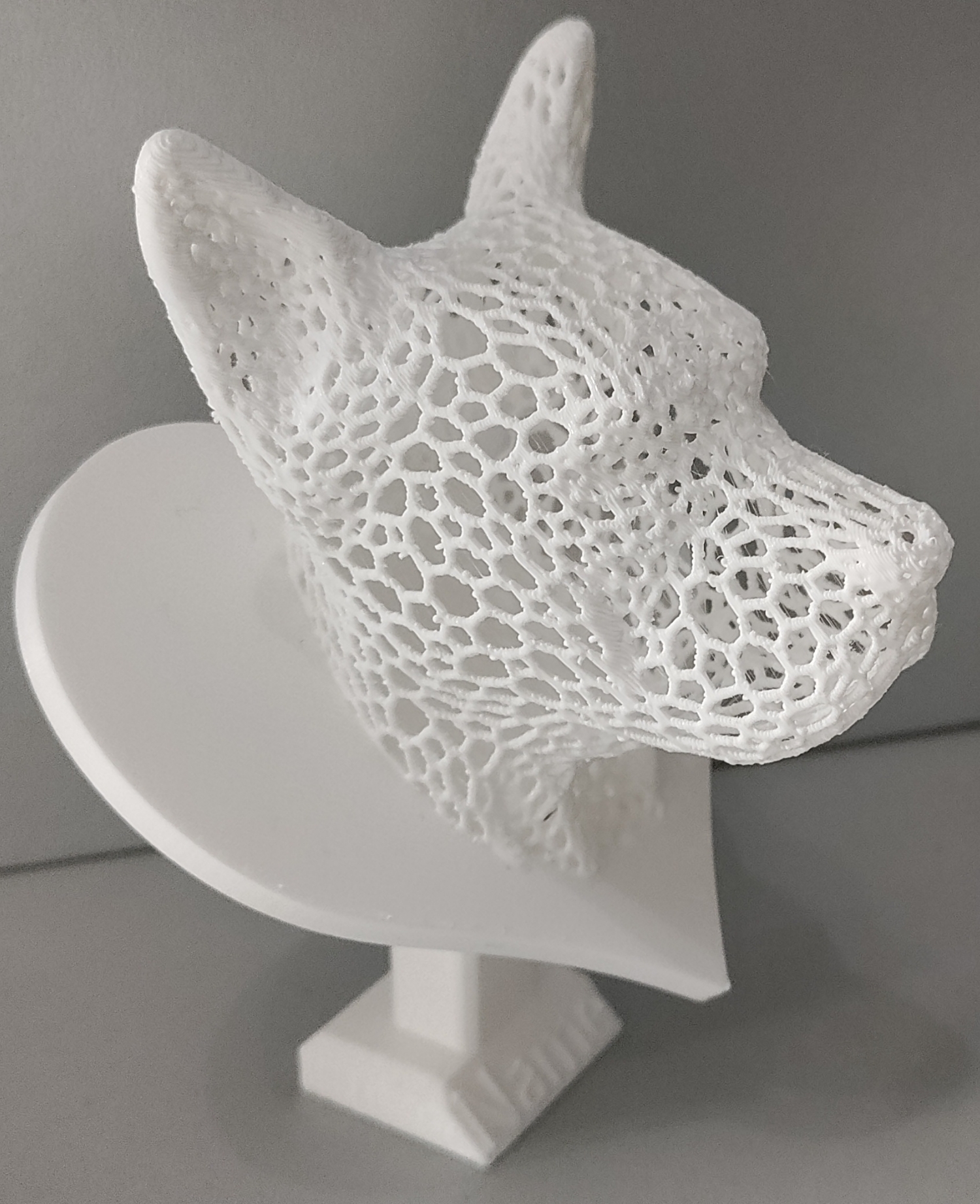 Dog head