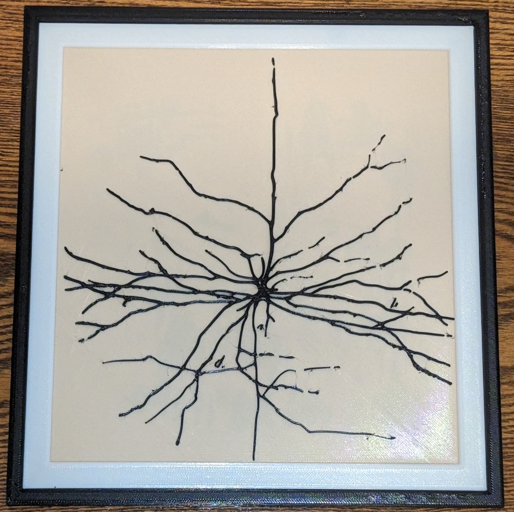 Brain Cell Print Santiago Ramón y Cajal by Bliss_Engineering 