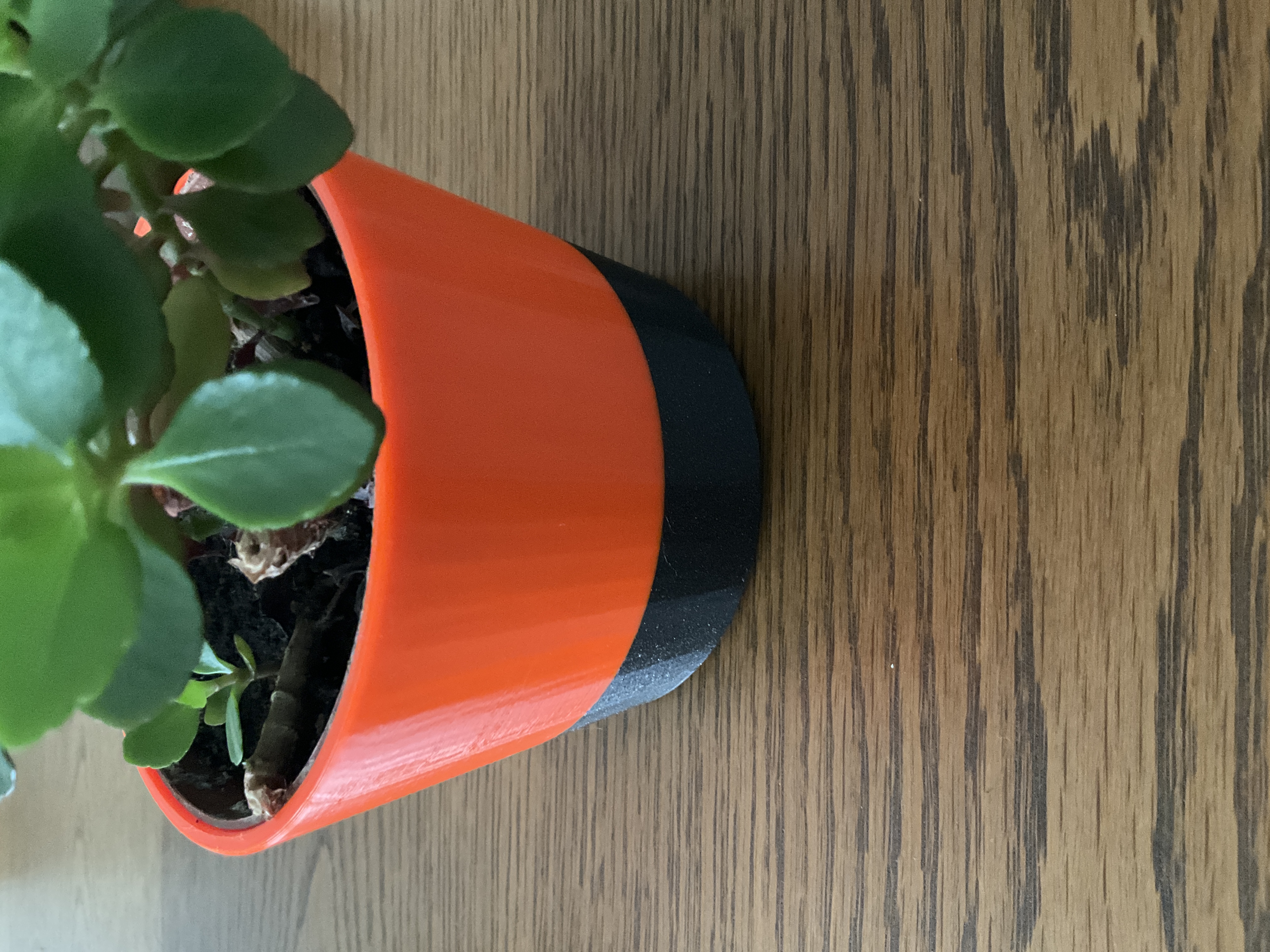 Übertopf konfigurierbar / Planter configurable