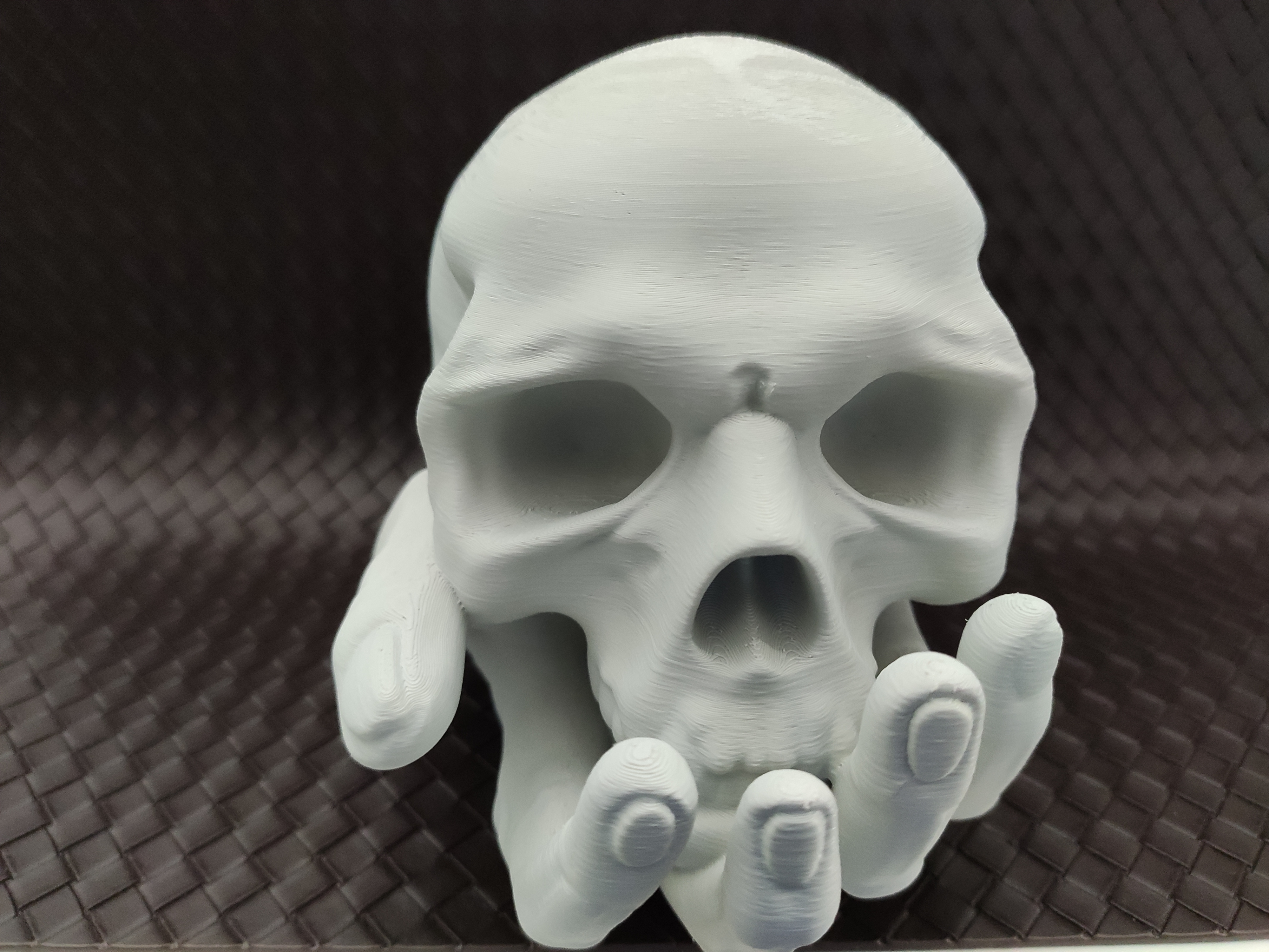 Skull in Hand - Coin bank / Piggy bank