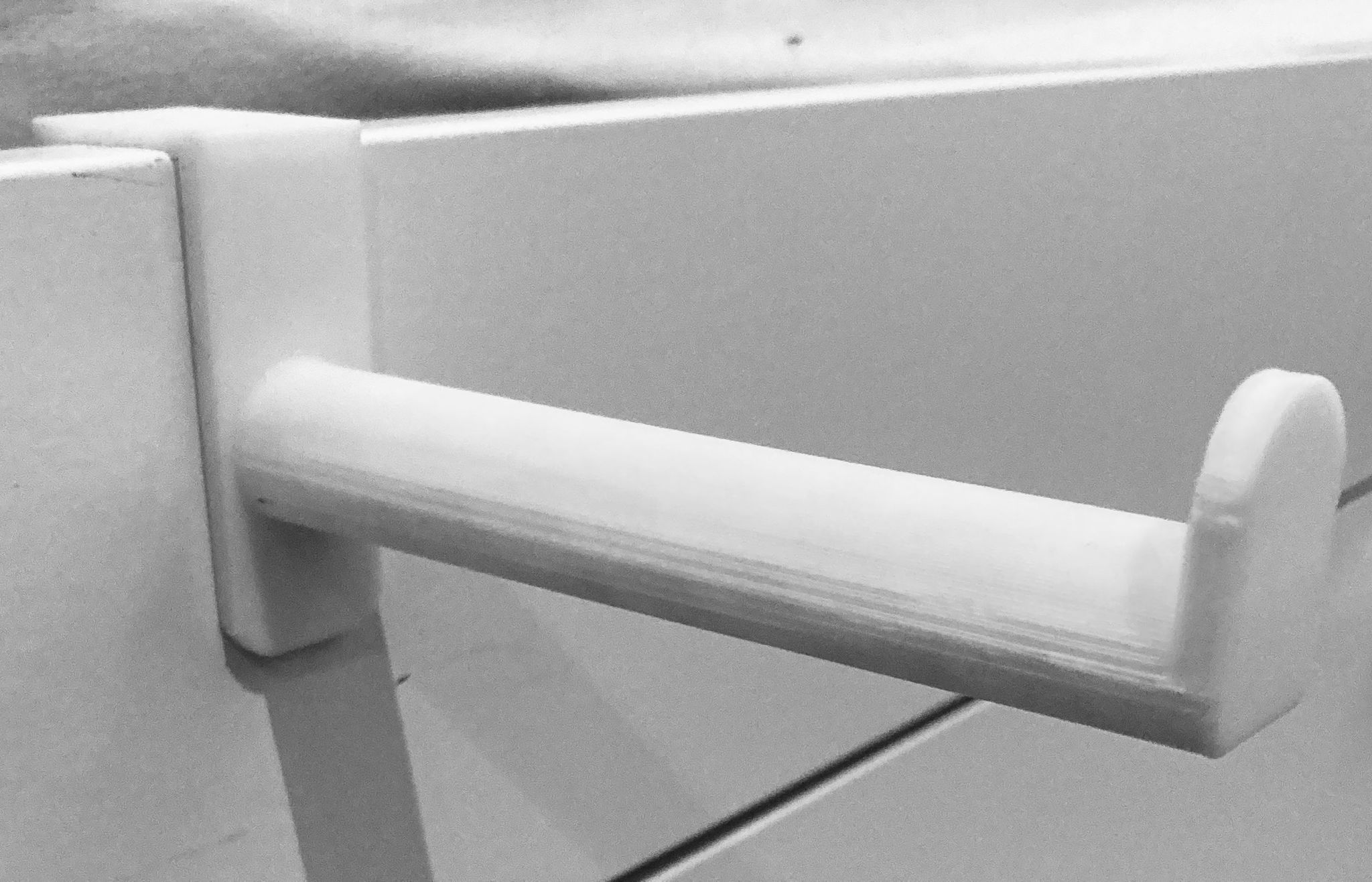 TOILET-PAPER HOLDER/HOOK