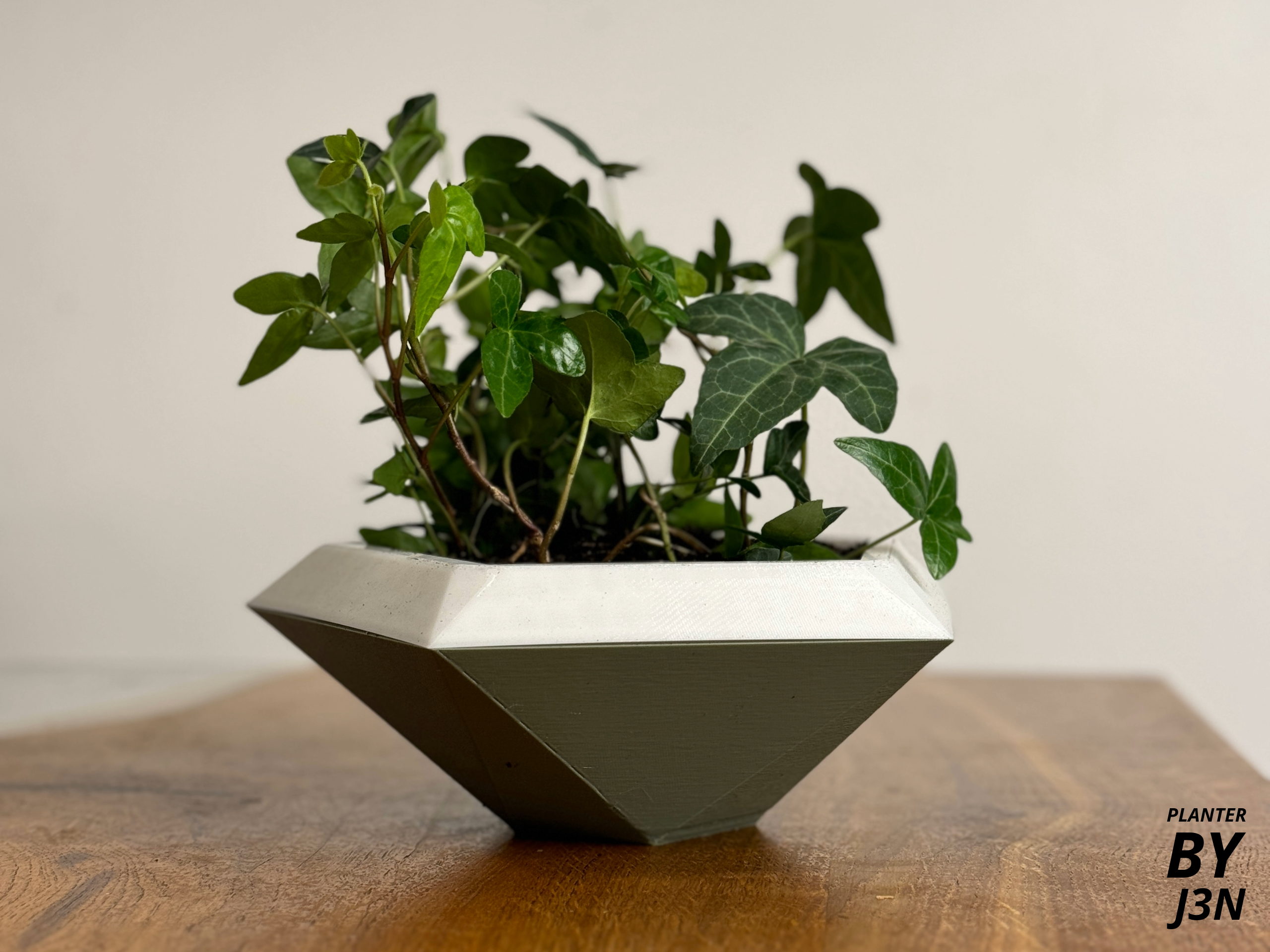 Self-watering planter/flower pot