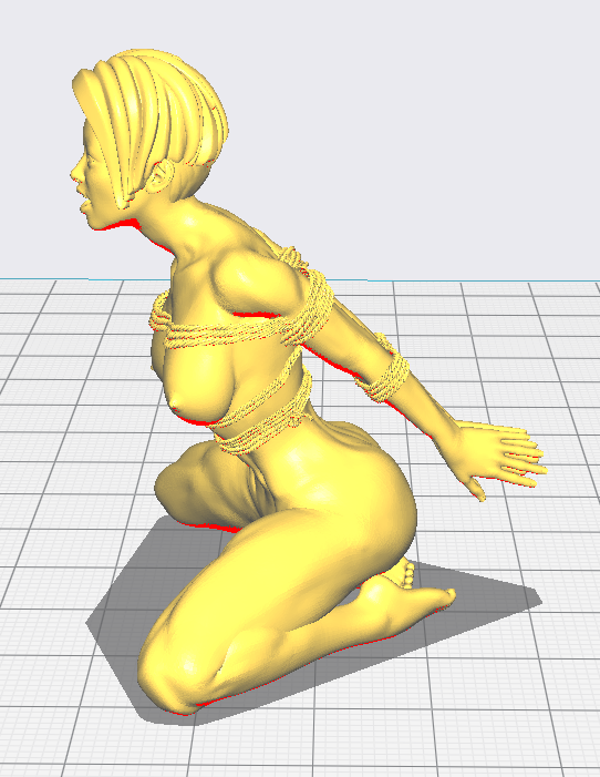 Fetish Naked Women by Onur Yıldırım Download free STL model Printables com