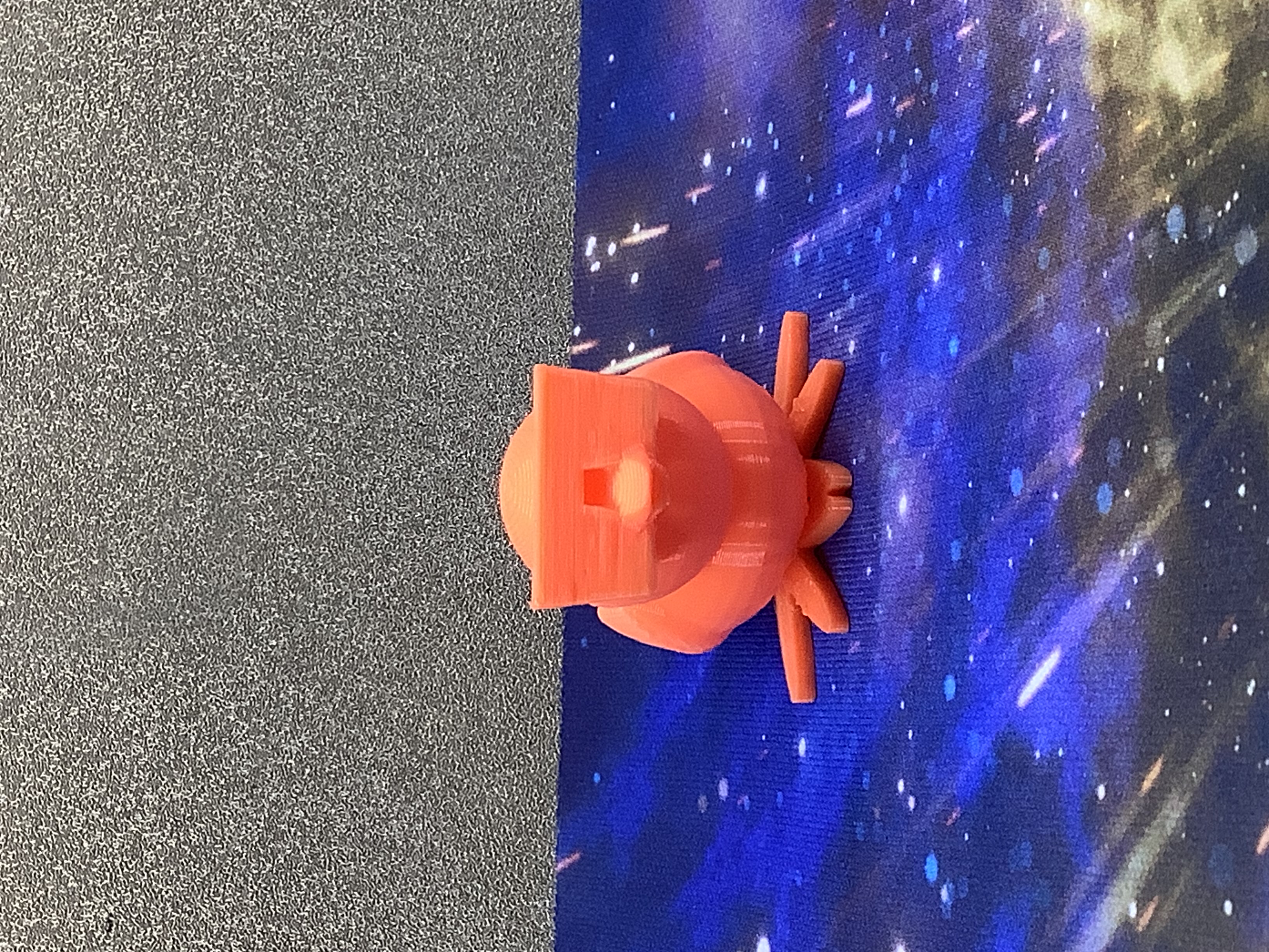 Cool Duck