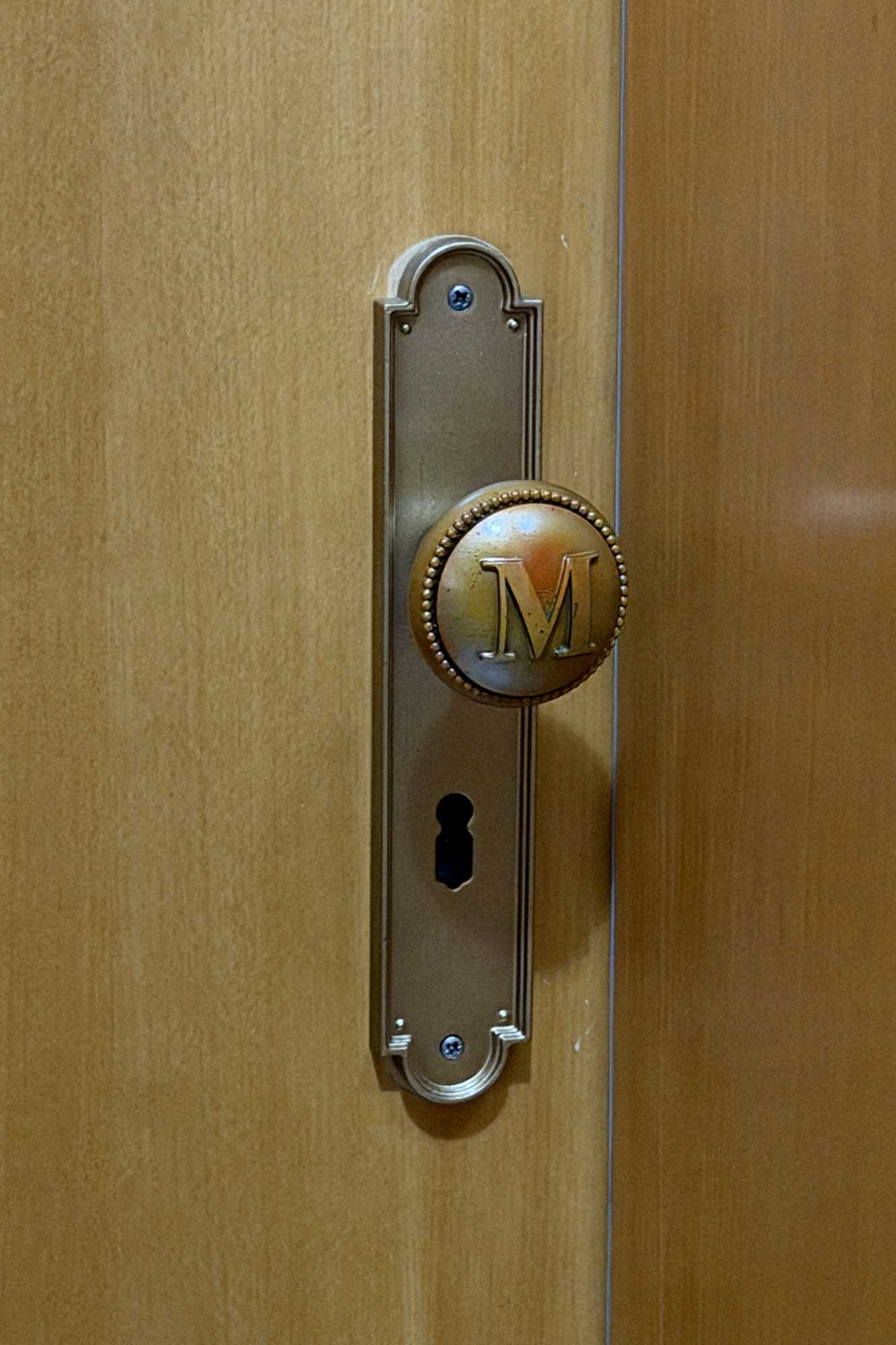 Home Alone McCallister door handle