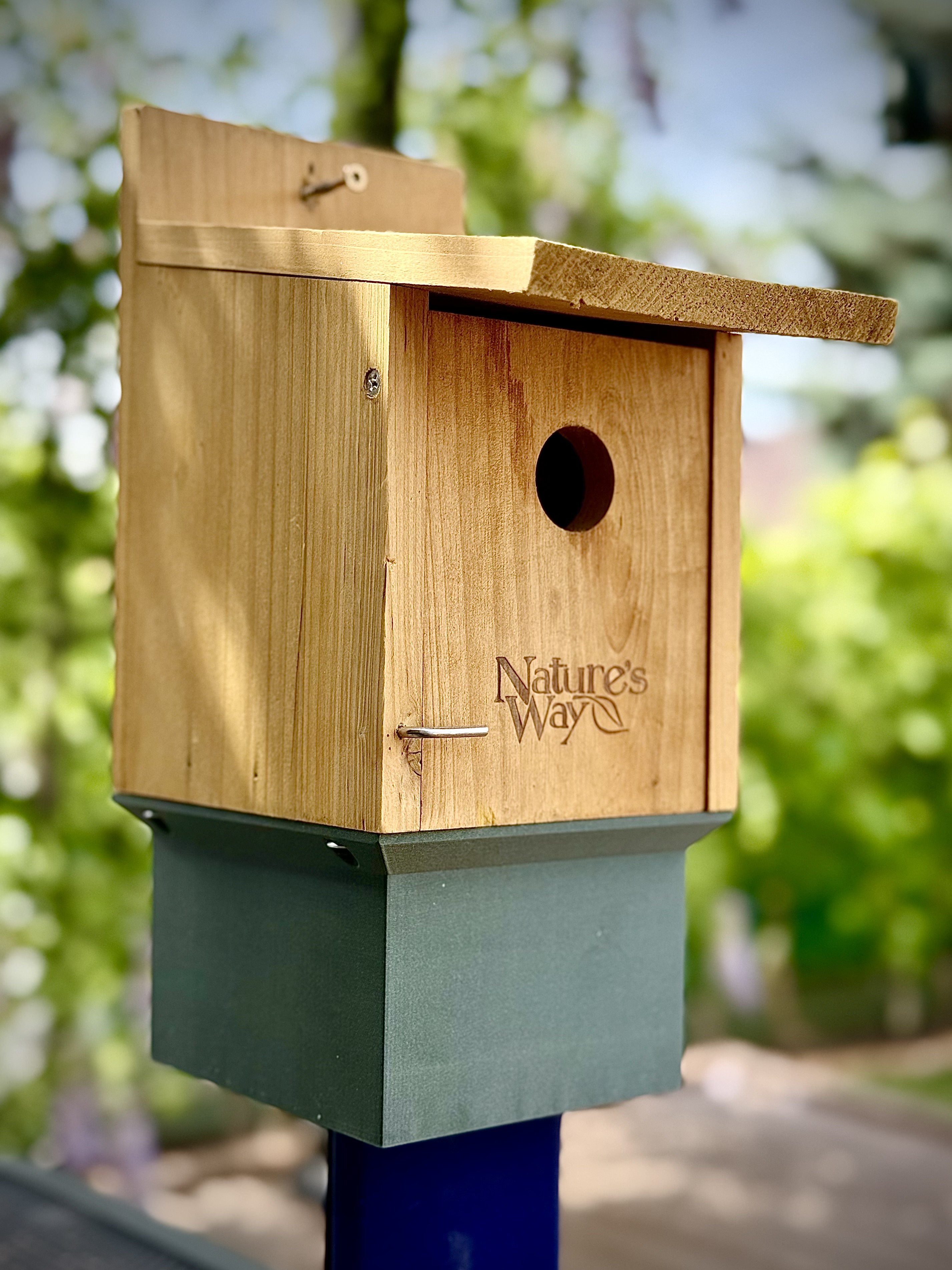 Nature's Basement (chickadee birdhouse)