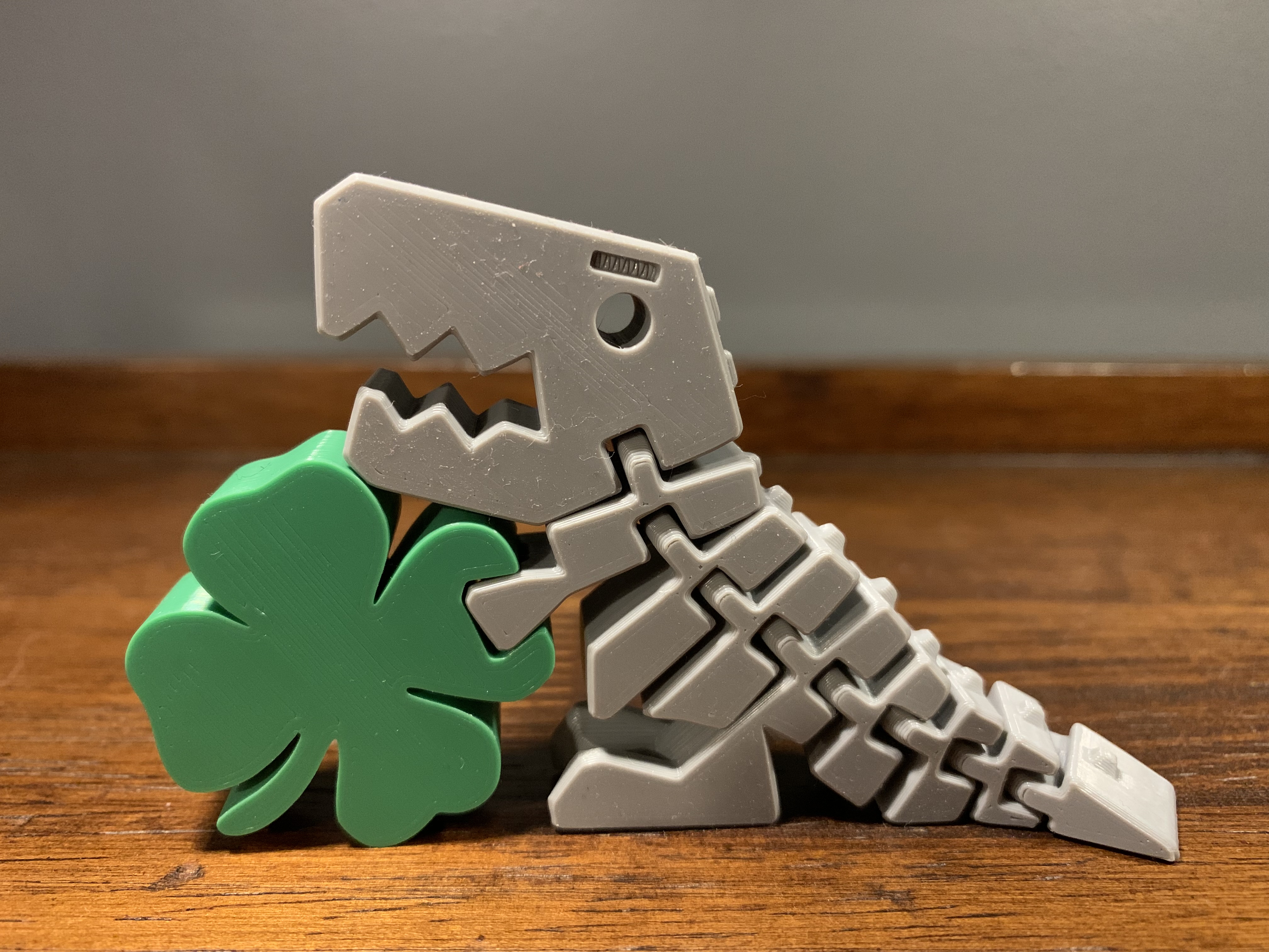 Shamrock Rex