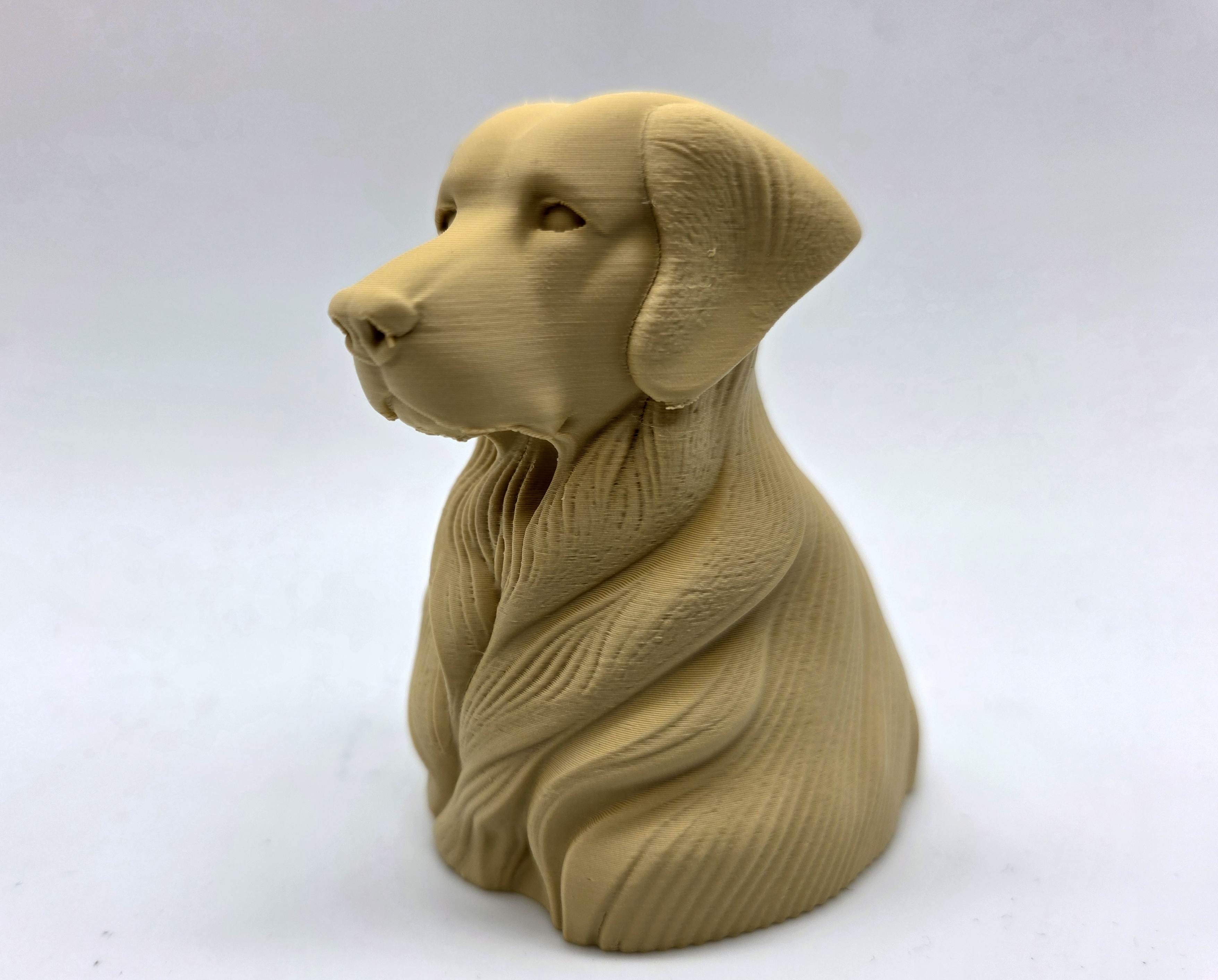 Golden Retriever Bust