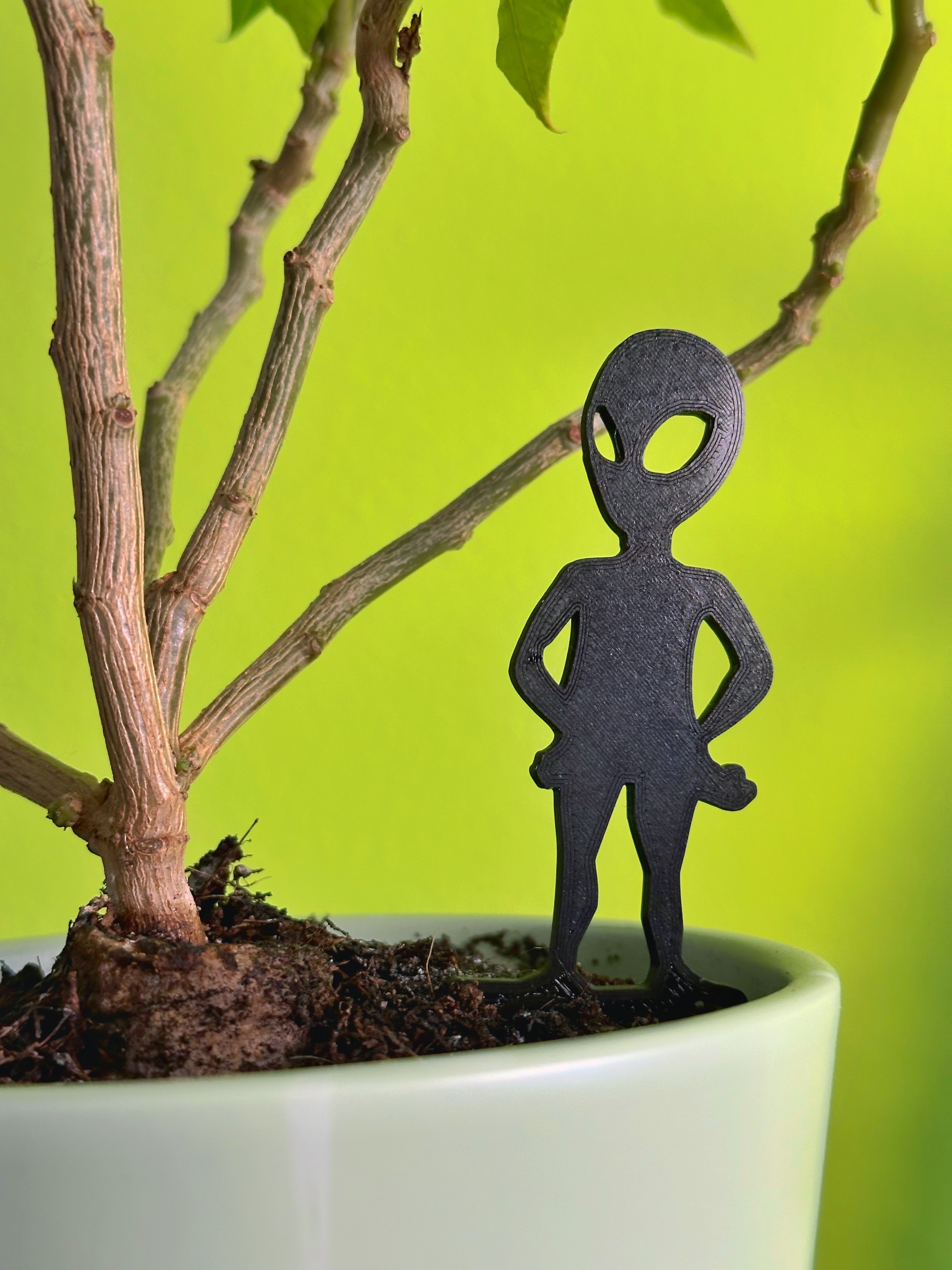 Alien Garden stake