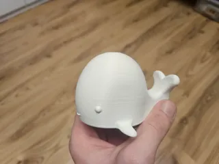Whale rain
