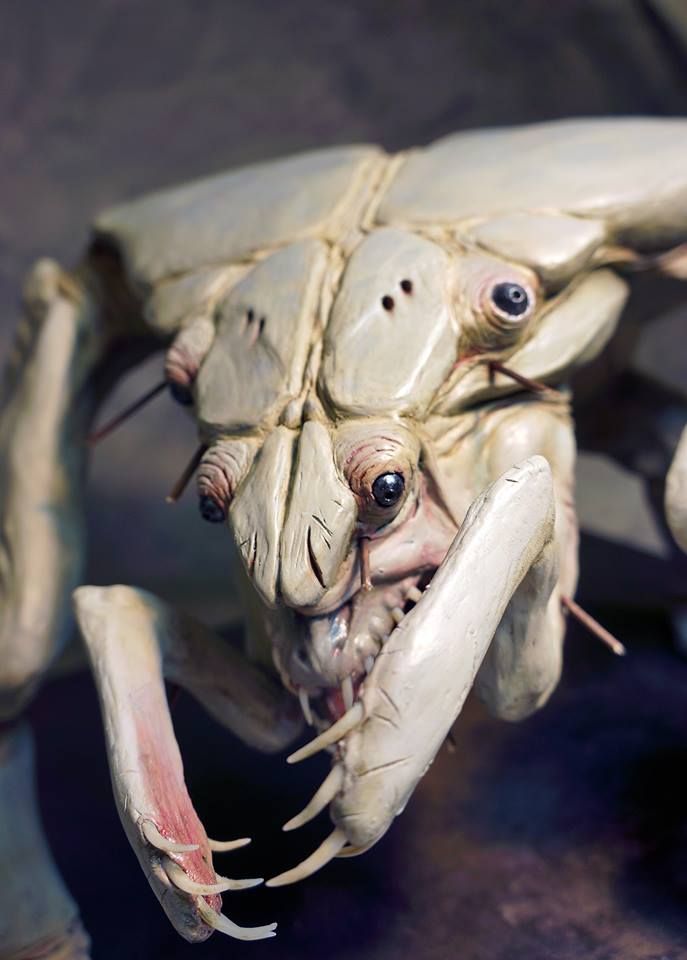 alien bug