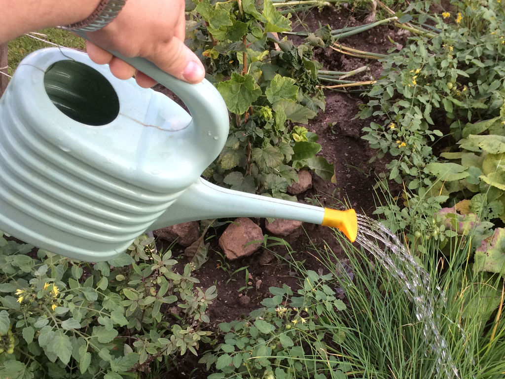 Kropička na malou konev \ Sprinkler on a small watering can