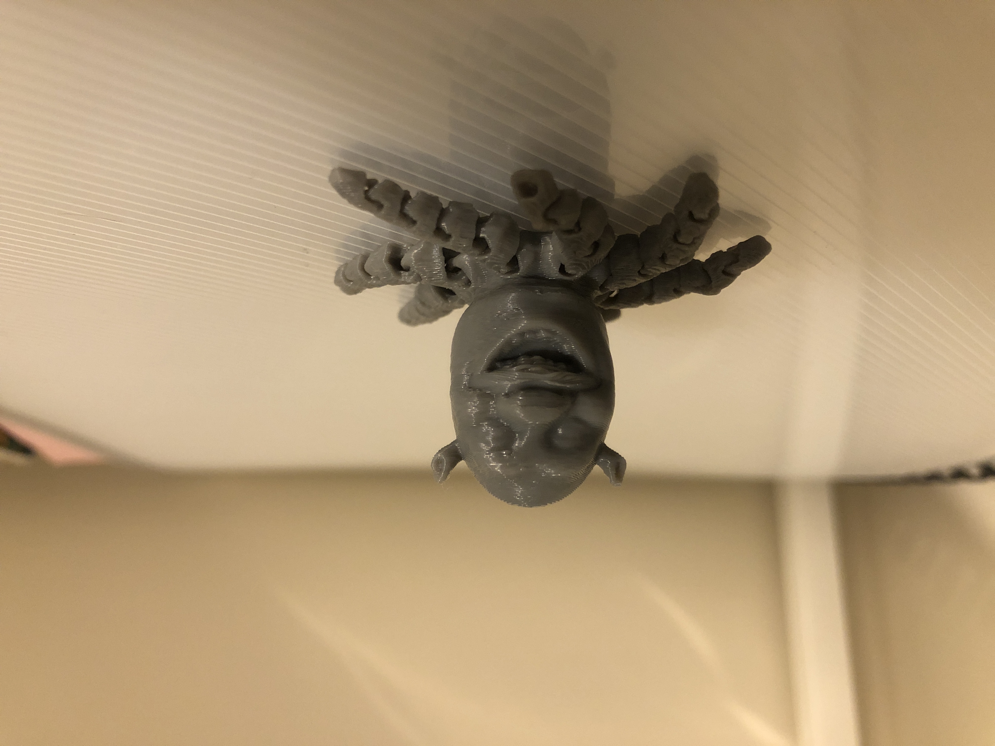 Shrektopus keychain (Scaled down)