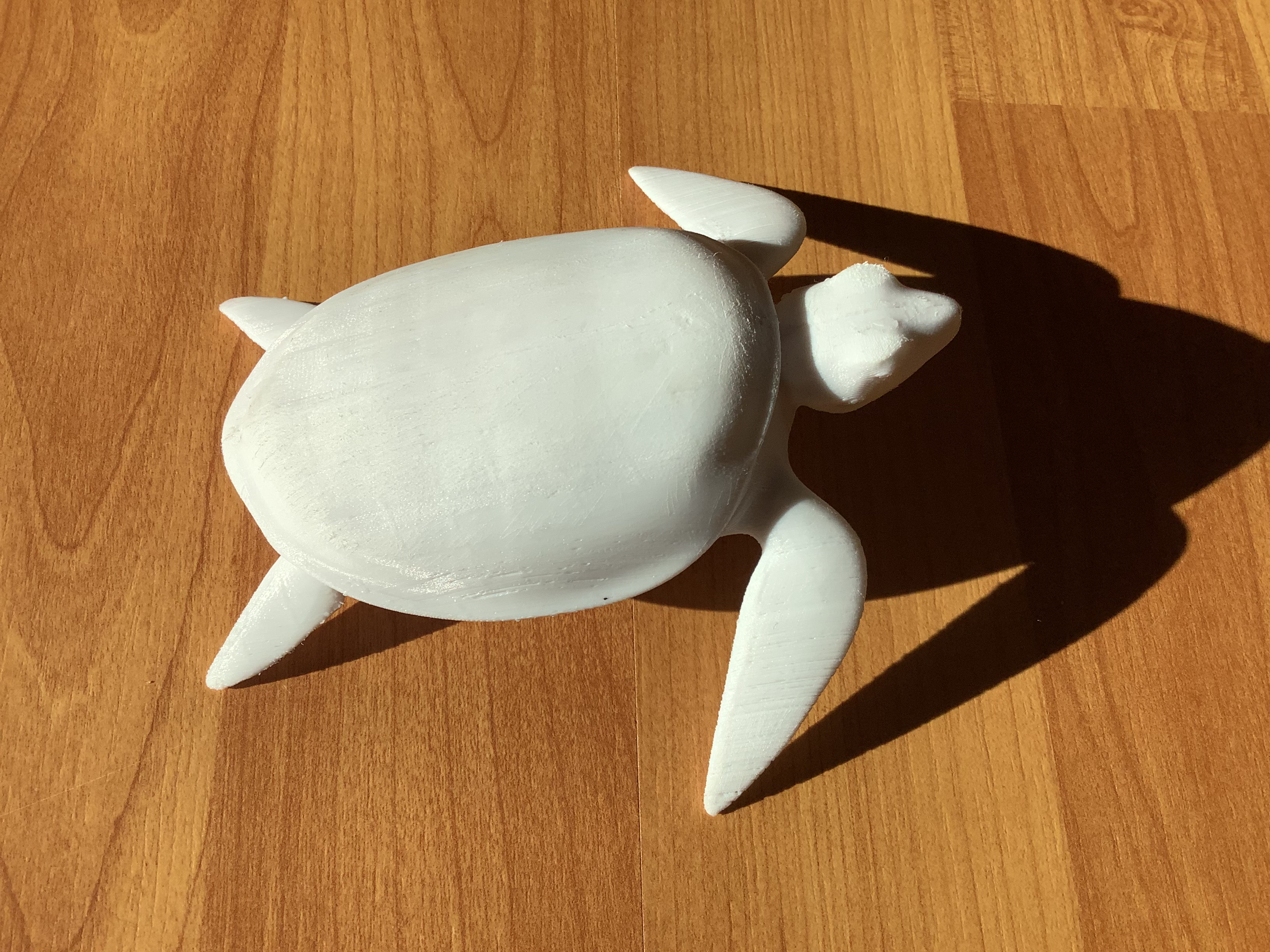 Turtle