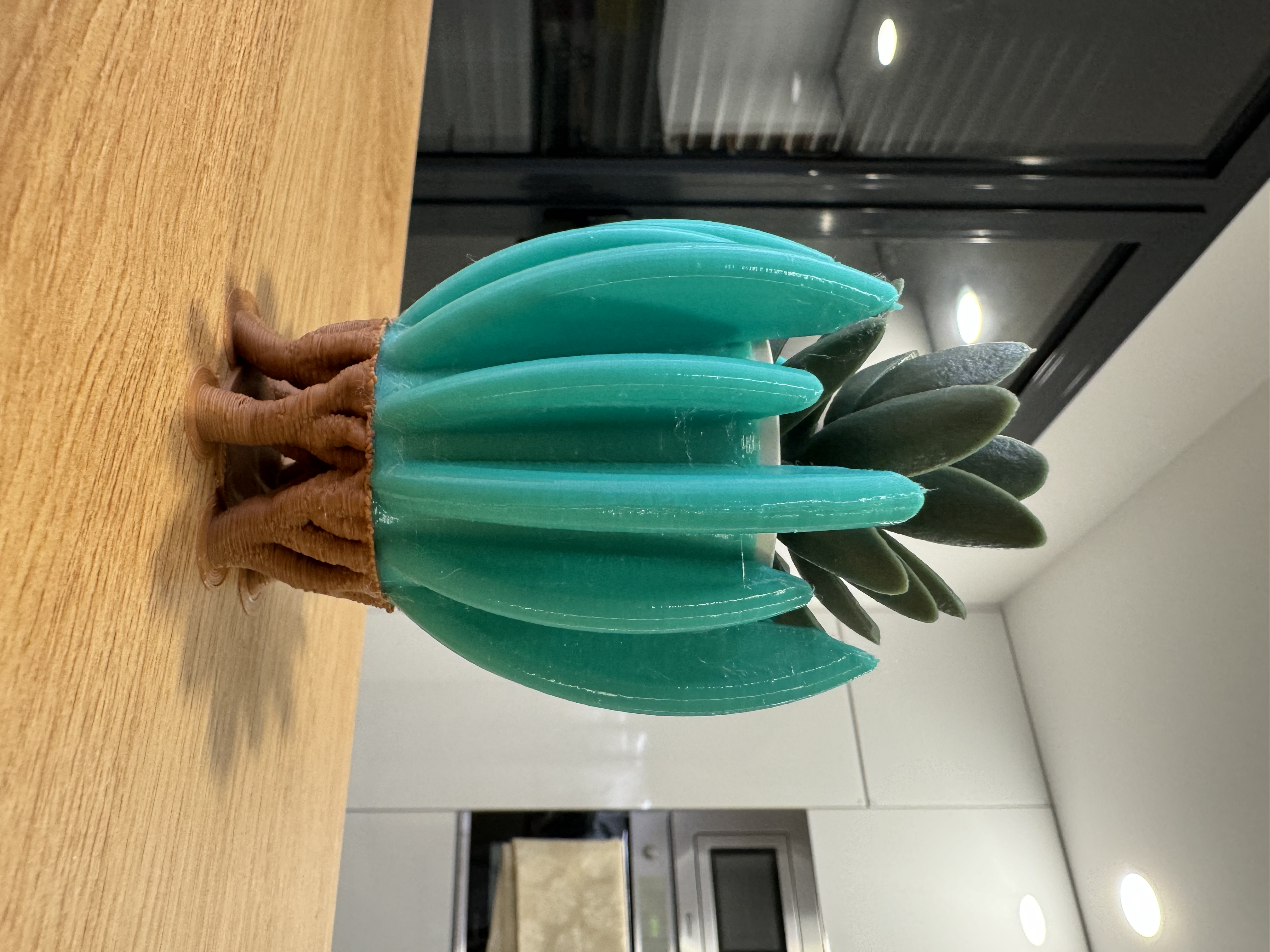 vase-with-roots-by-olipix-creative-lab-by-rodolfo-daniel-sa-download